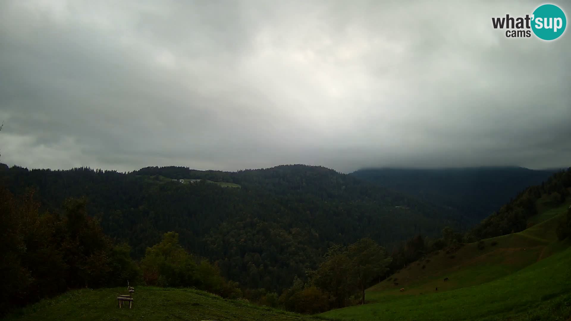 Webcam Brunarica Dražgoše – Live View of Ratitovec (1666 m)