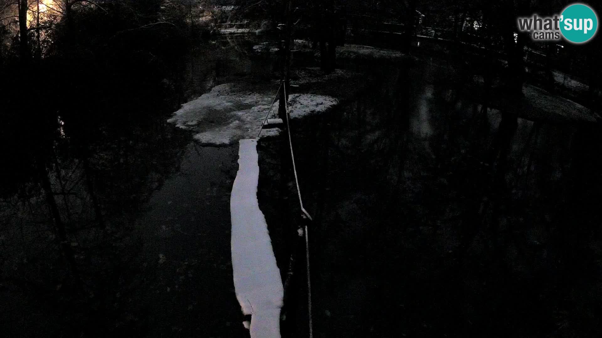 Navadni vari u živo – Ljubljana zoo