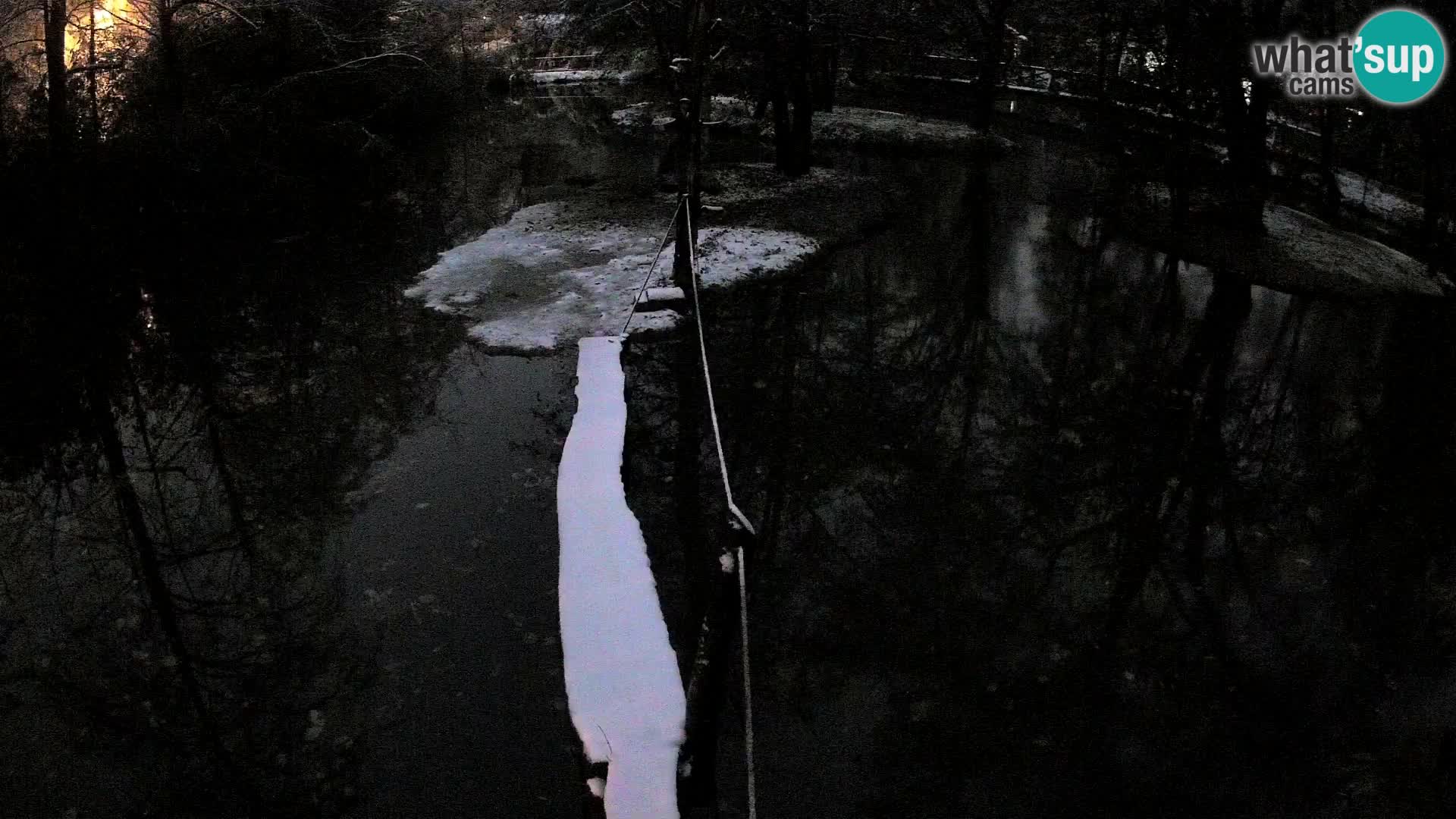 Navadni vari u živo – Ljubljana zoo