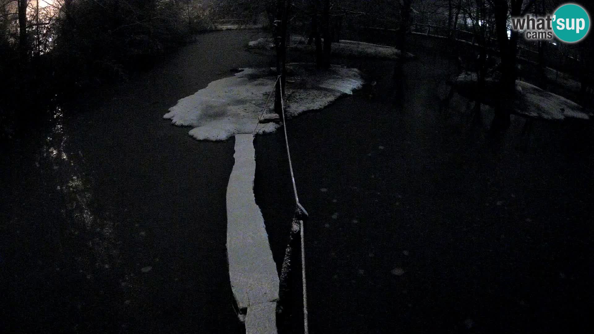 Navadni vari v živo – Ljubljana živalski vrt