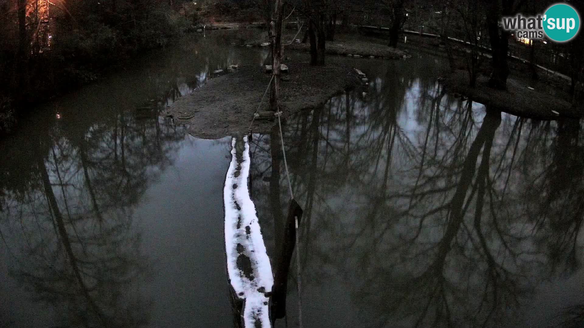 Navadni vari u živo – Ljubljana zoo