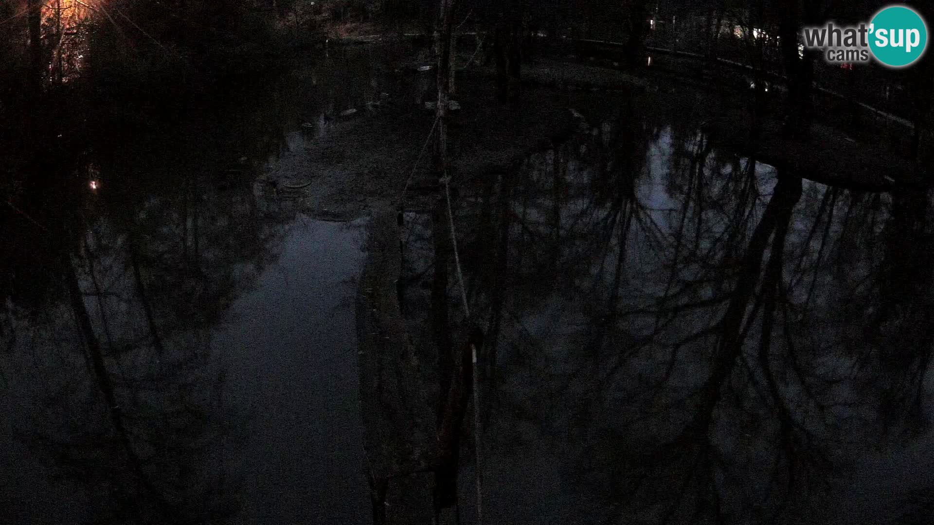 Navadni vari u živo – Ljubljana zoo