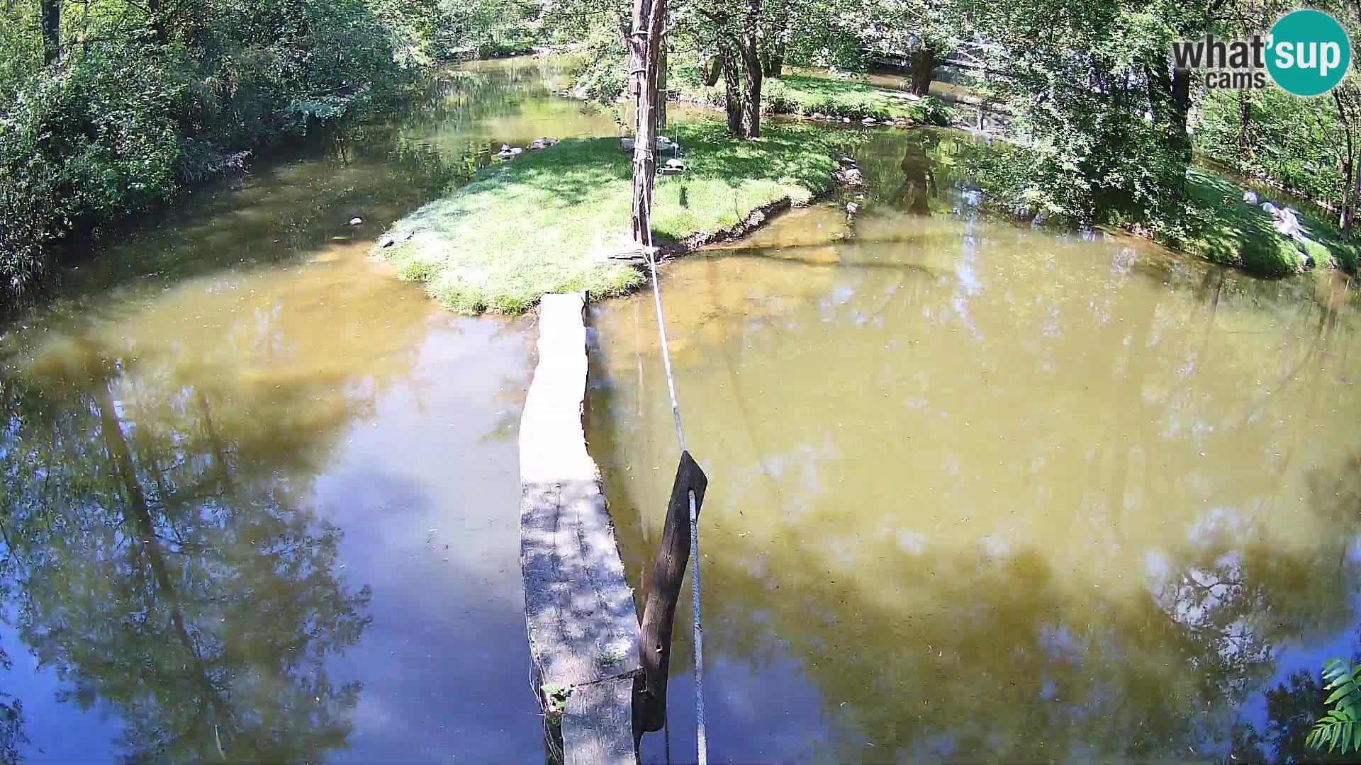 Navadni vari v živo – Ljubljana živalski vrt