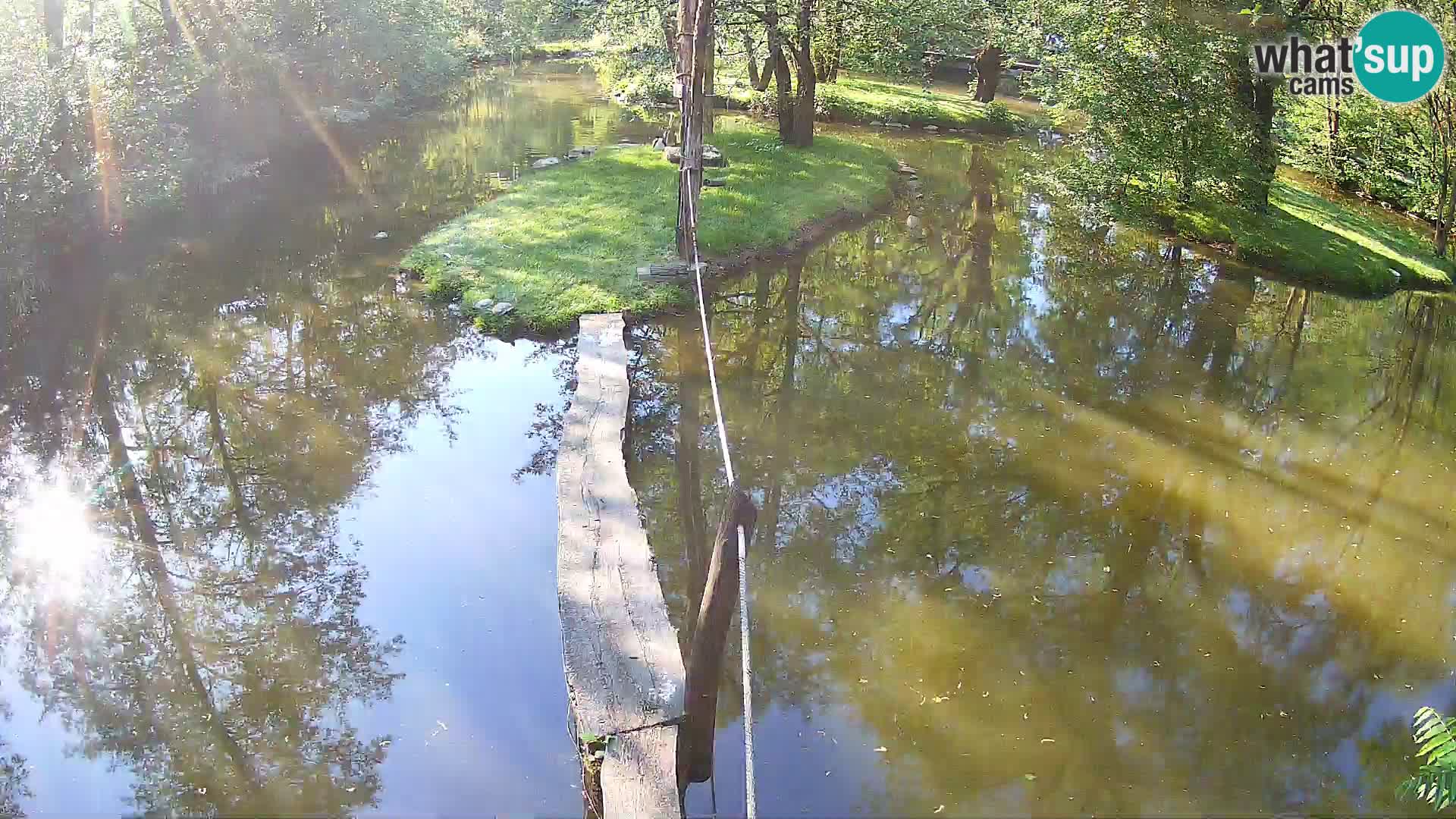 Navadni vari v živo – Ljubljana živalski vrt