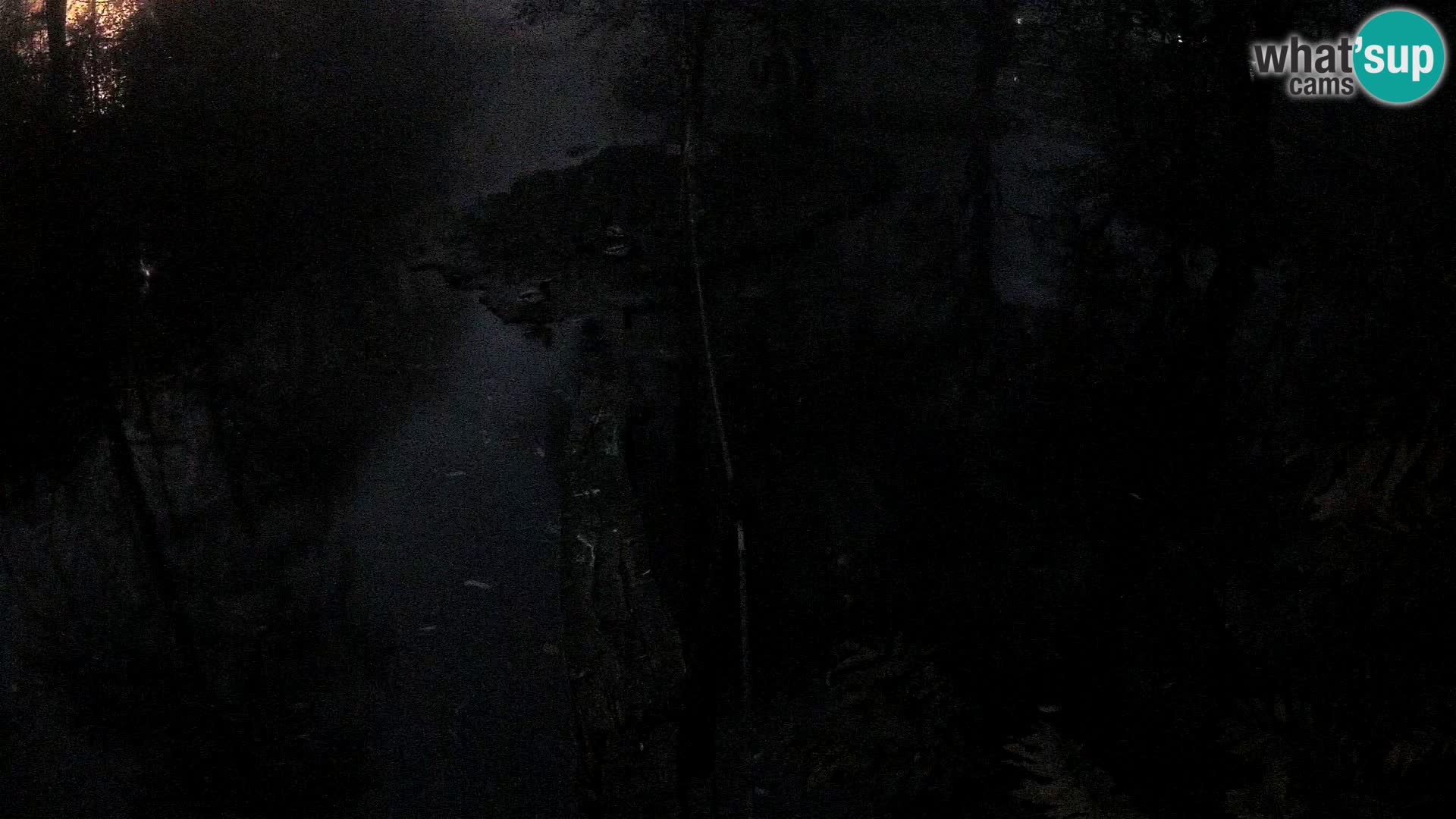 Schwarzweiße Vari Zoo Ljubljana webcam