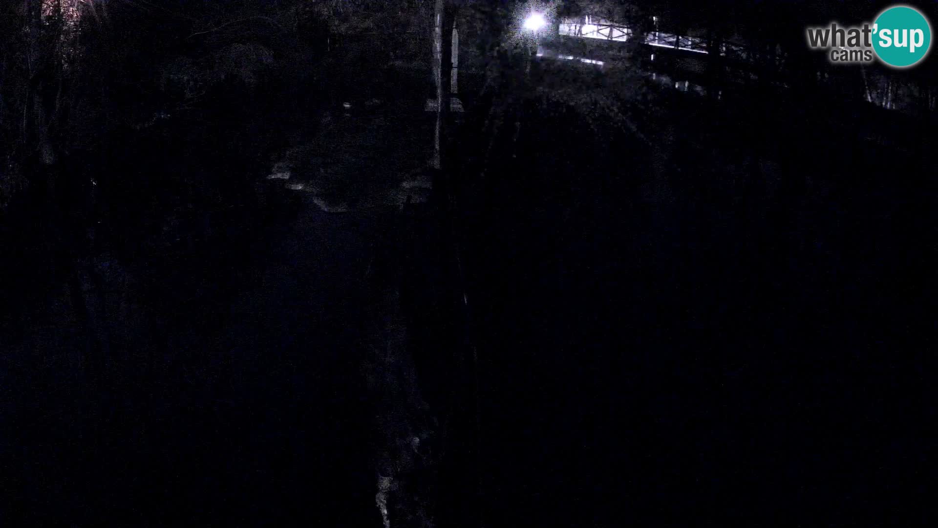 Schwarzweiße Vari Zoo Ljubljana webcam