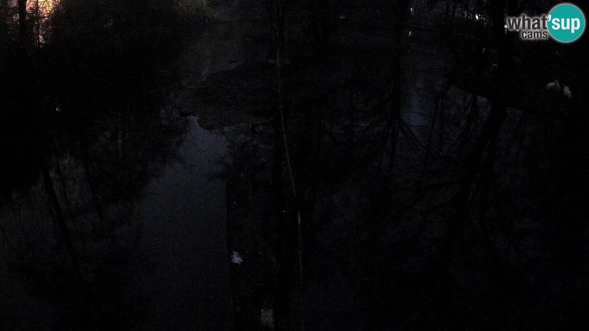 Vari noir et blanc – Ljubljana ZOO  livecam