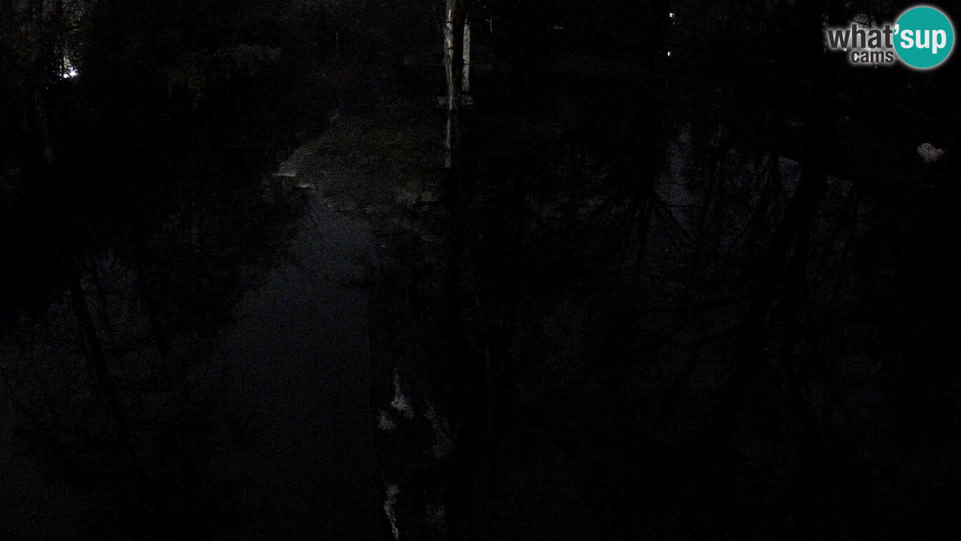 Vari noir et blanc – Ljubljana ZOO  livecam