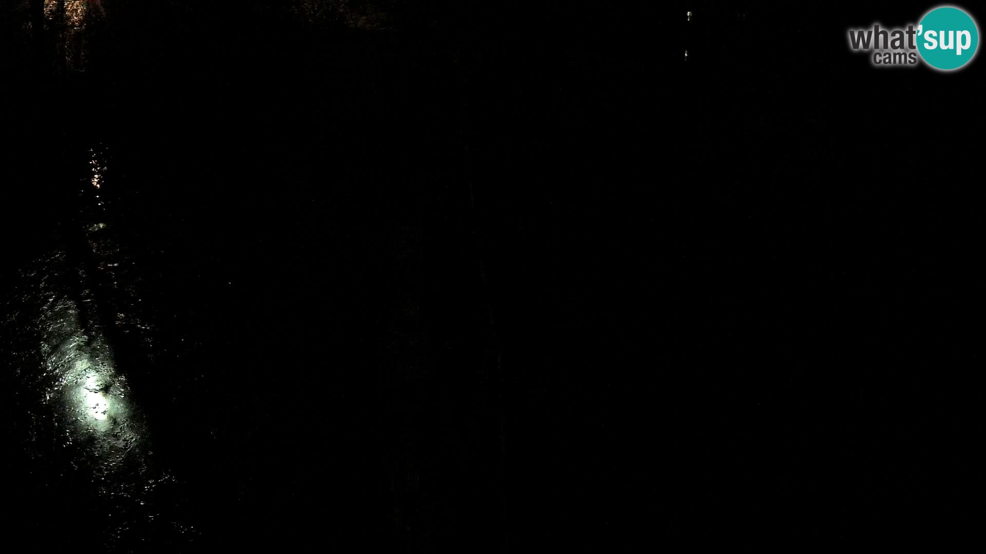 Navadni vari u živo – Ljubljana zoo