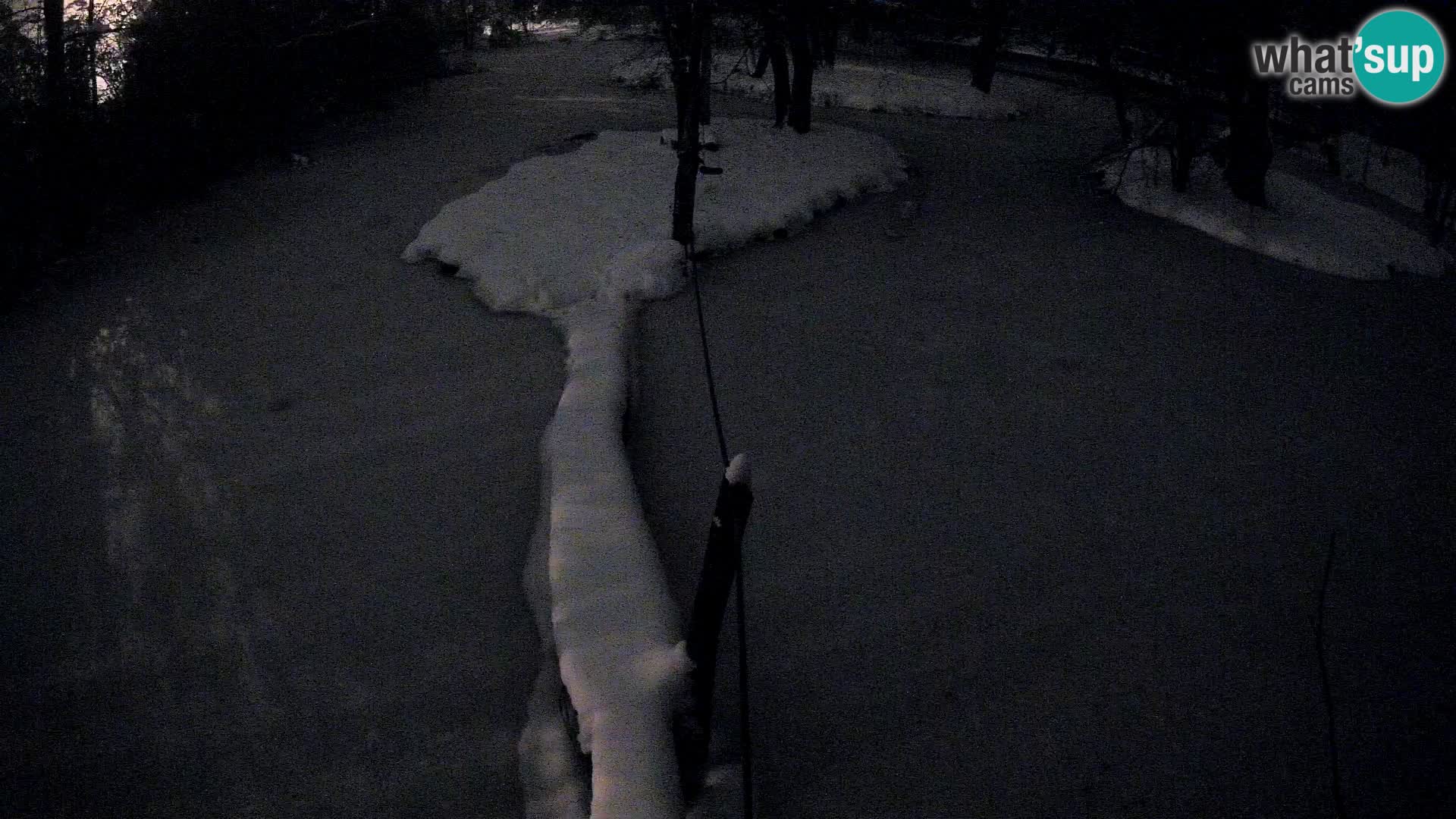 Vari noir et blanc – Ljubljana ZOO  livecam