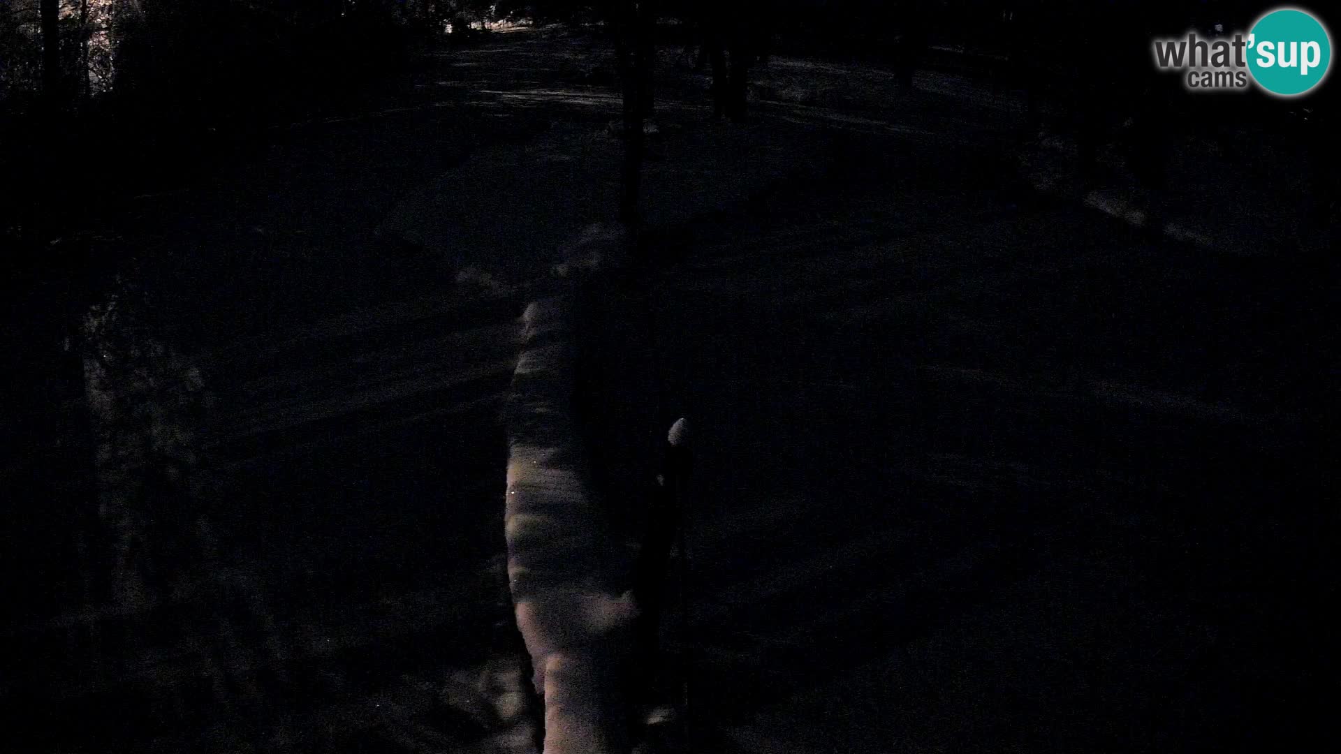 Vari noir et blanc – Ljubljana ZOO  livecam