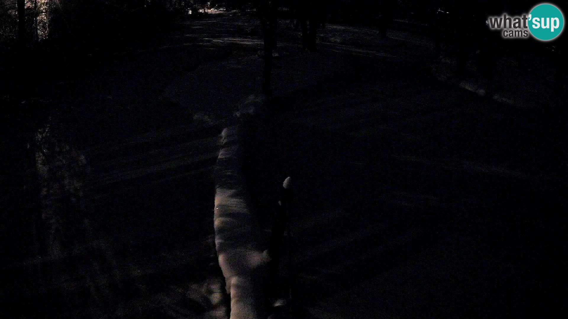 Schwarzweiße Vari Zoo Ljubljana webcam