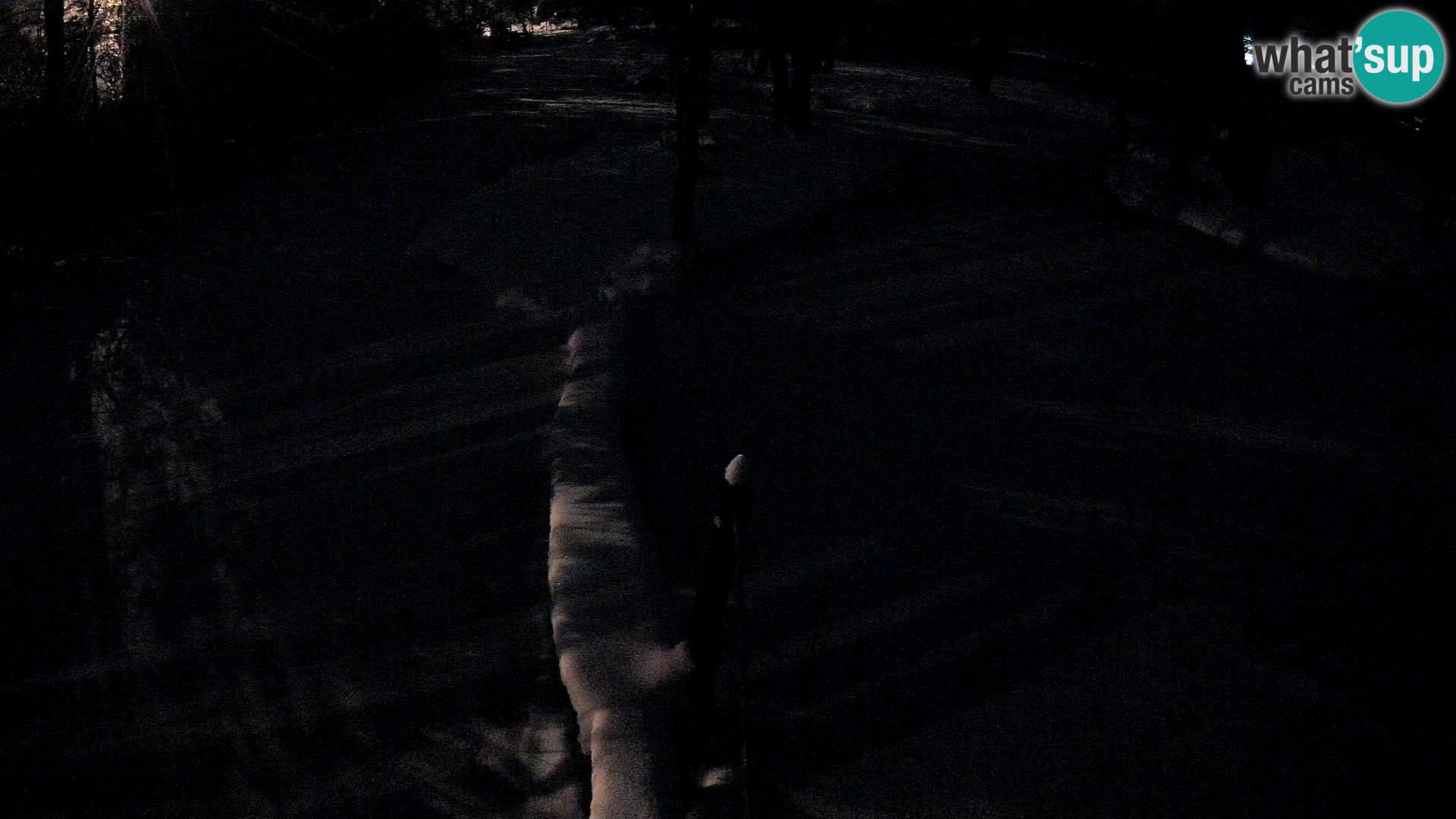 Vari bianconero Zoo Ljubljana webcam