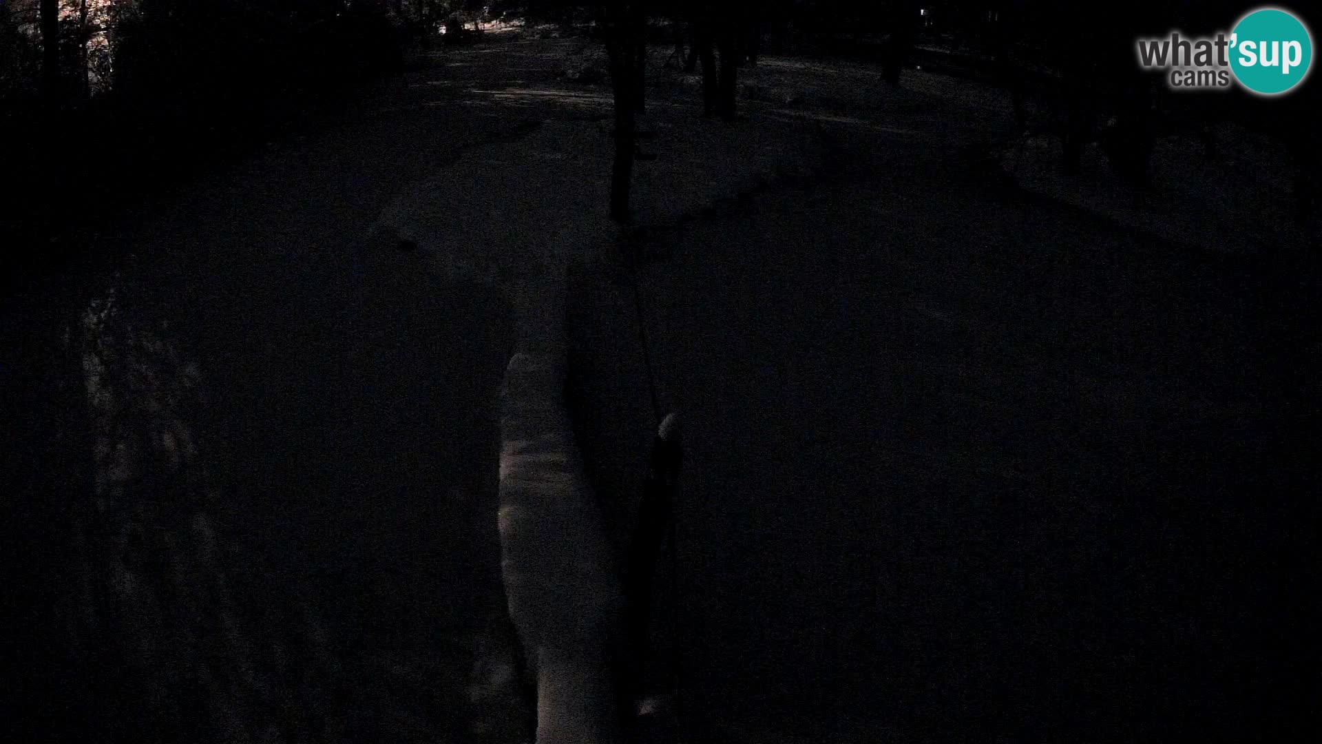 Vari noir et blanc – Ljubljana ZOO  livecam