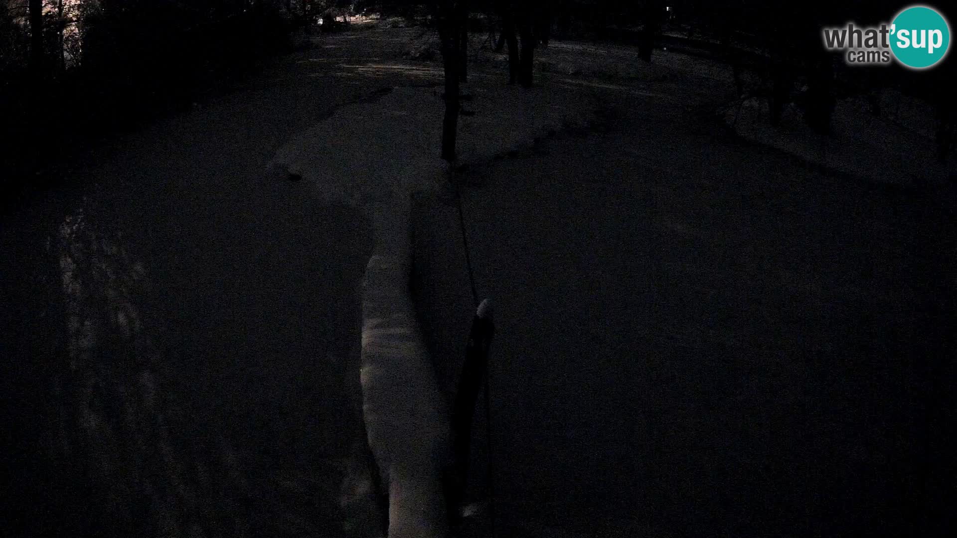 Vari noir et blanc – Ljubljana ZOO  livecam