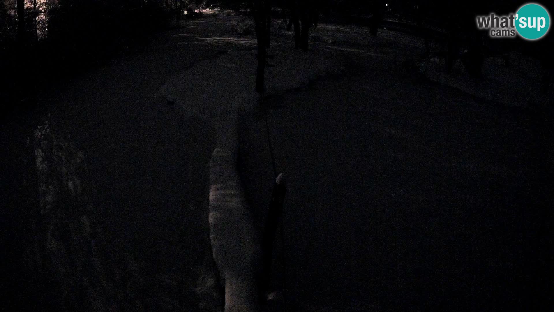 Navadni vari v živo – Ljubljana živalski vrt