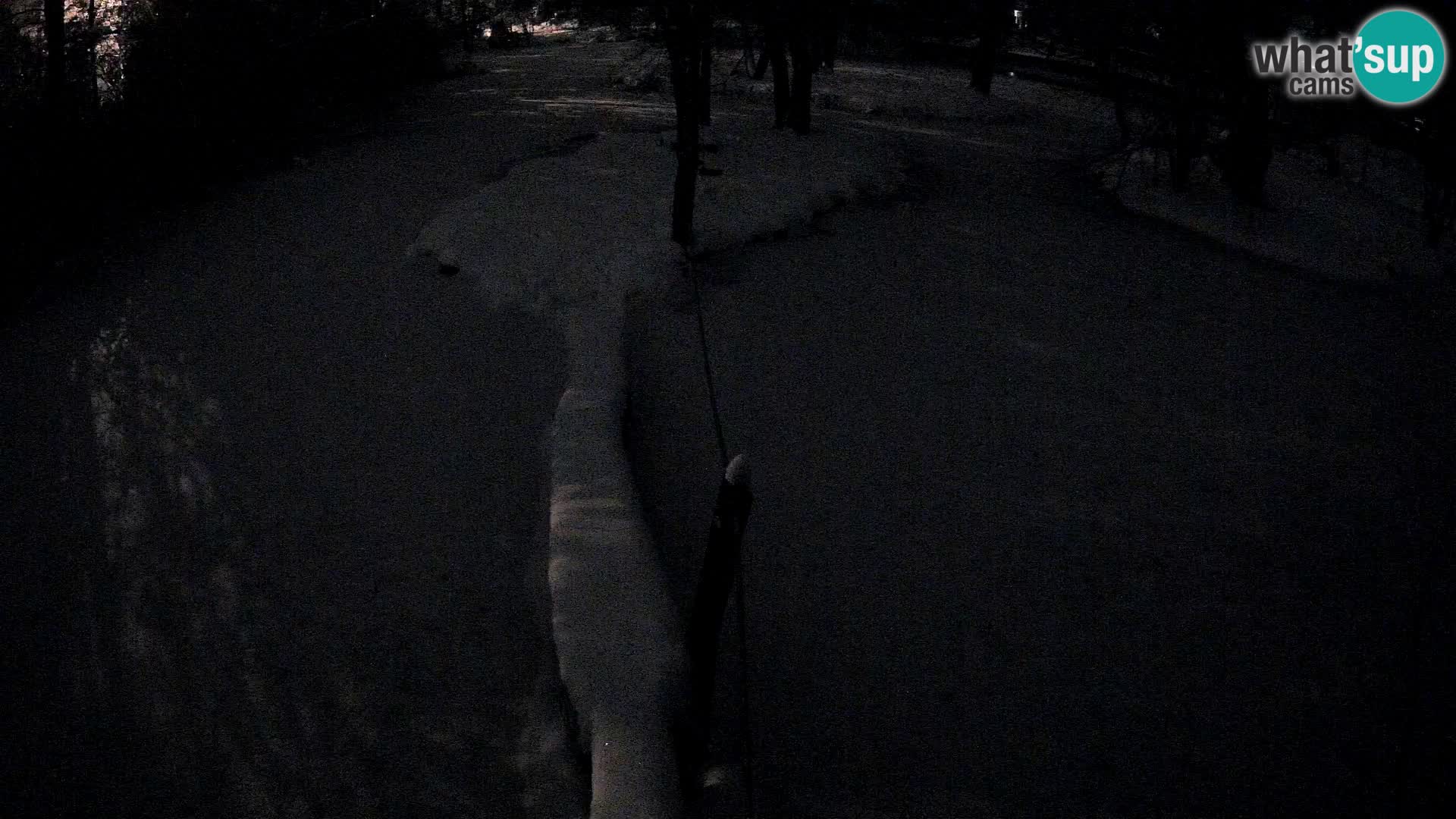 Navadni vari v živo – Ljubljana živalski vrt