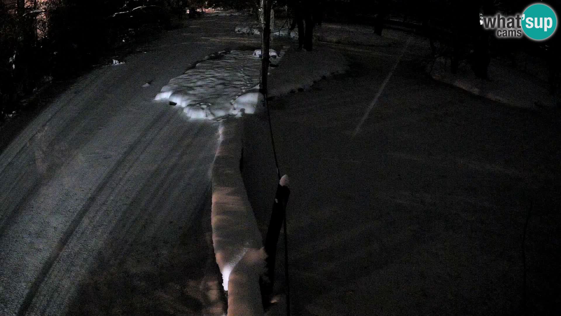 Vari bianconero Zoo Ljubljana webcam