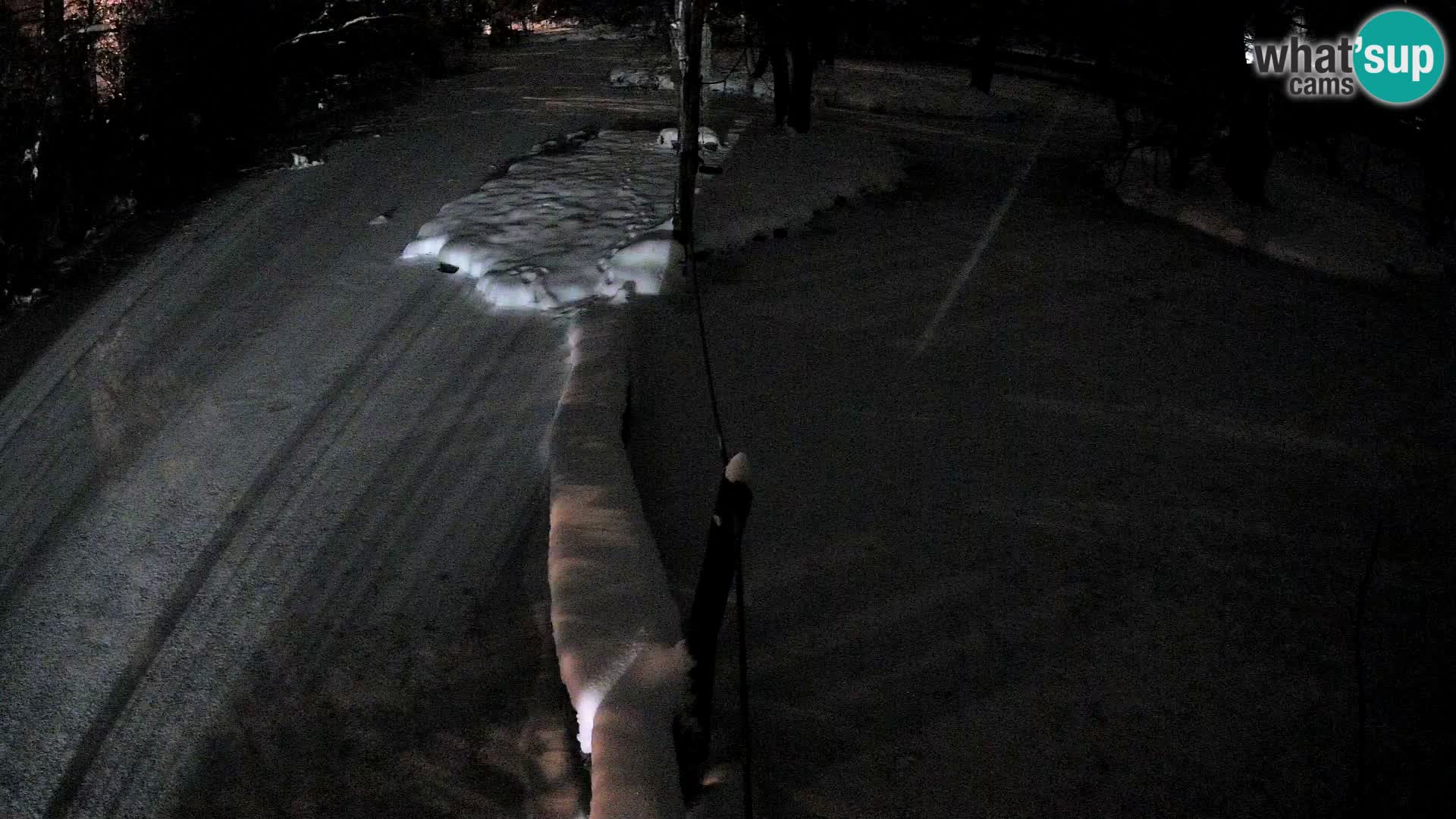 Vari bianconero Zoo Ljubljana webcam