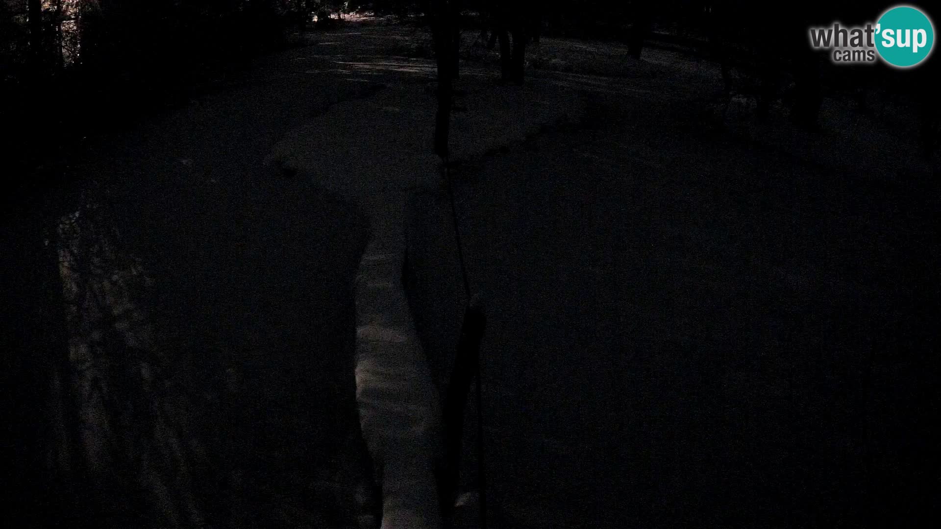 Schwarzweiße Vari Zoo Ljubljana webcam