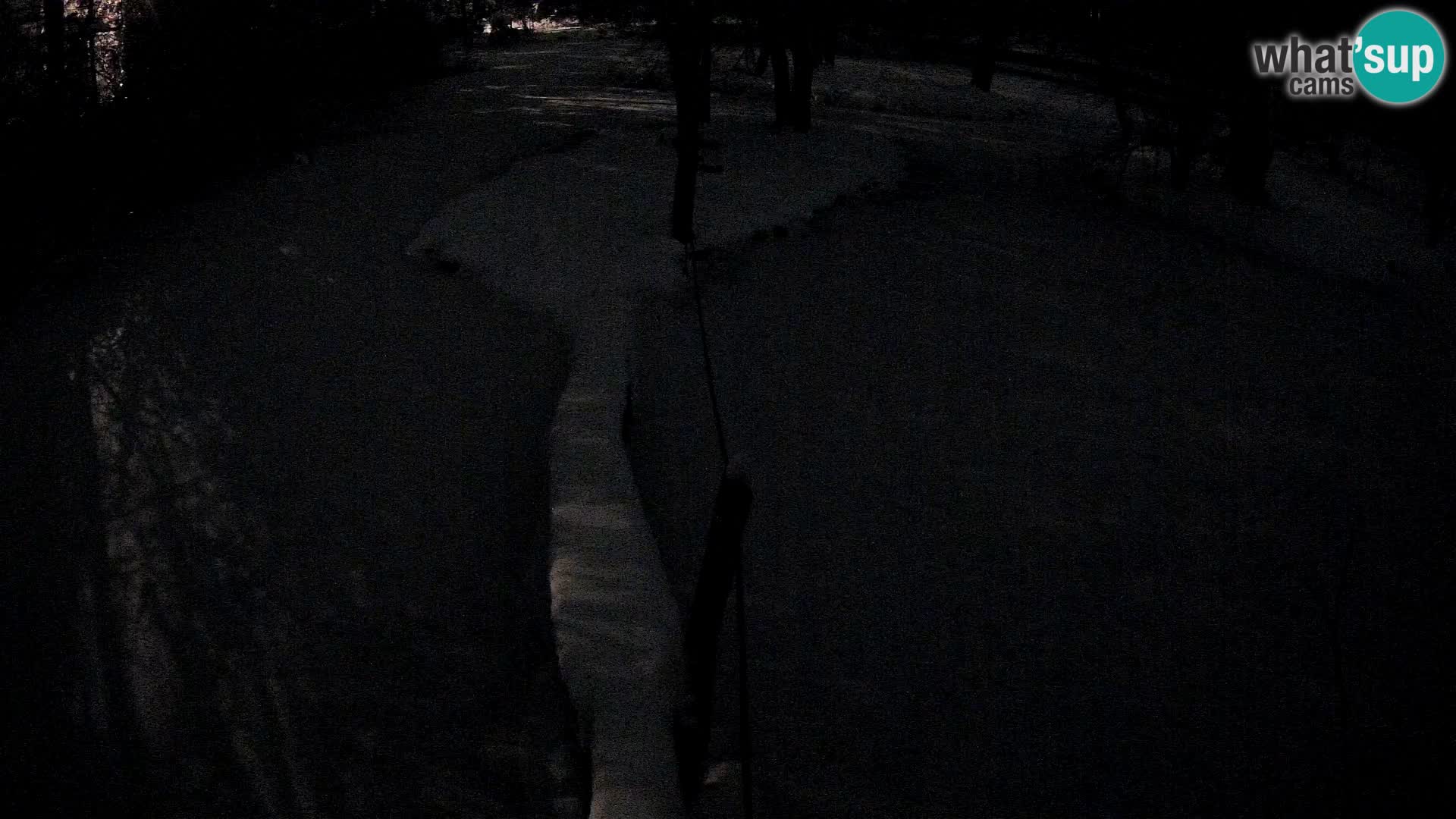 Vari noir et blanc – Ljubljana ZOO  livecam