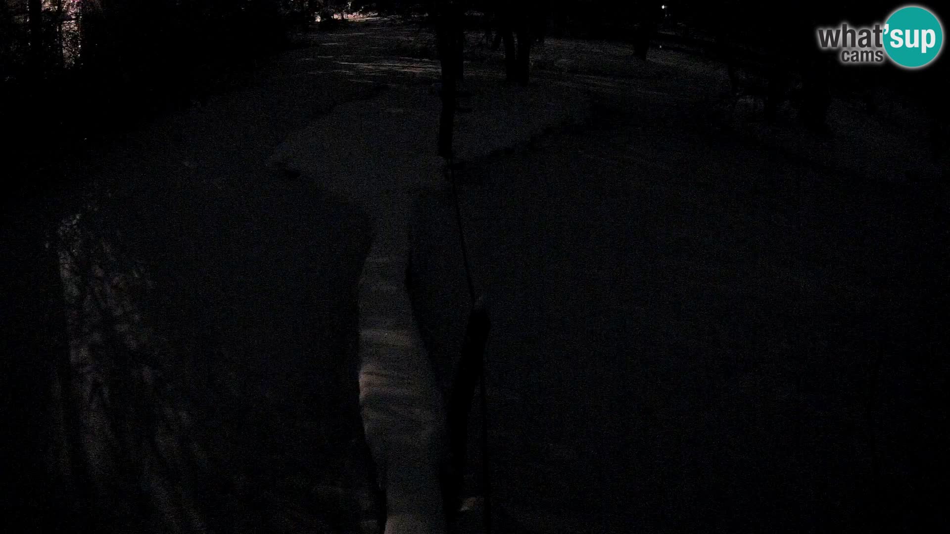 Navadni vari v živo – Ljubljana živalski vrt