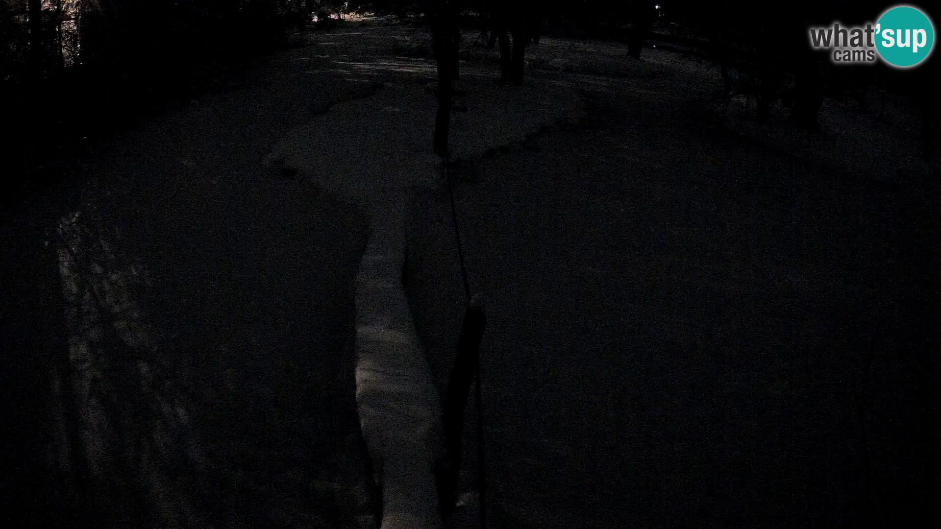 Vari noir et blanc – Ljubljana ZOO  livecam