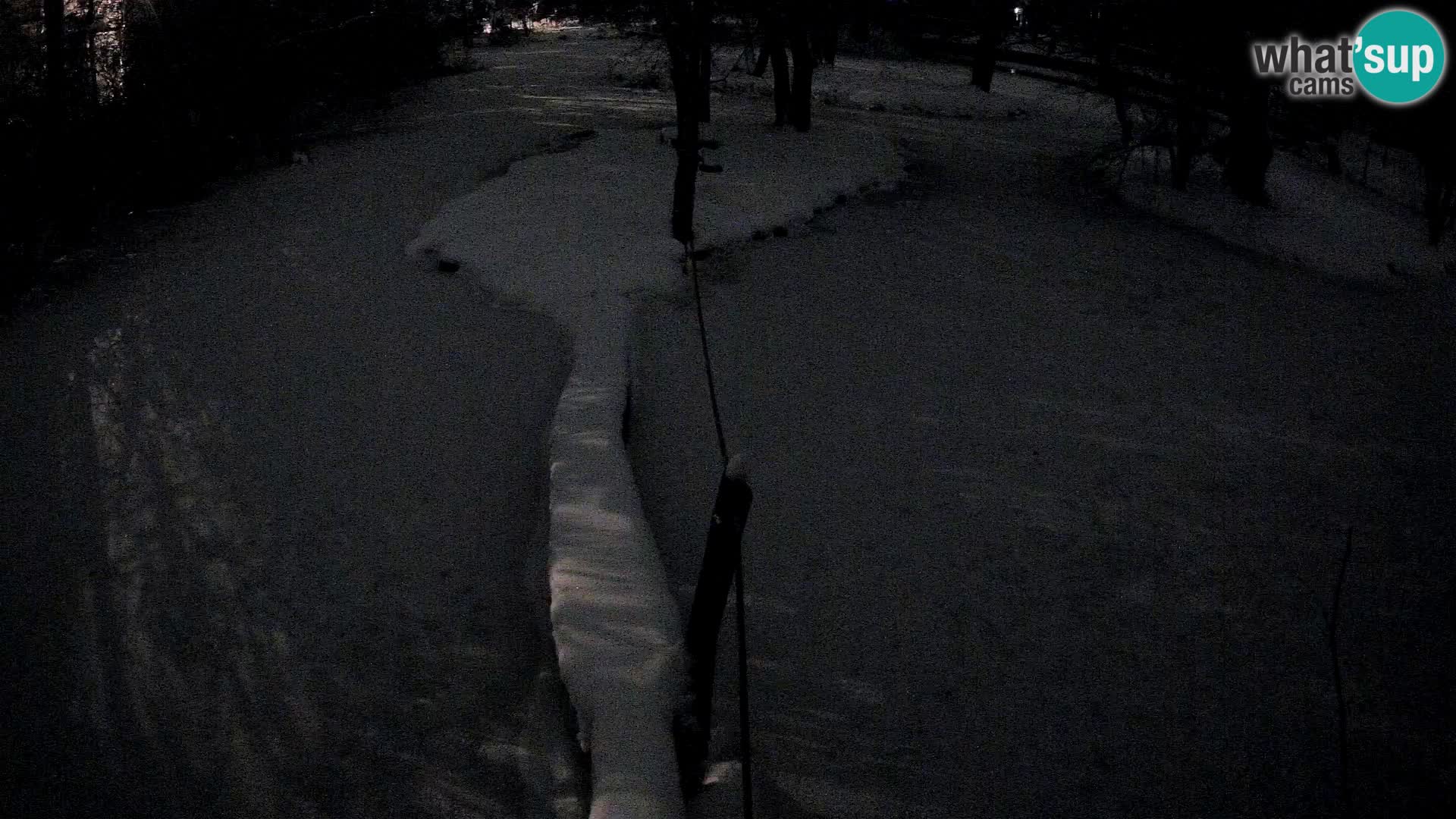 Navadni vari u živo – Ljubljana zoo