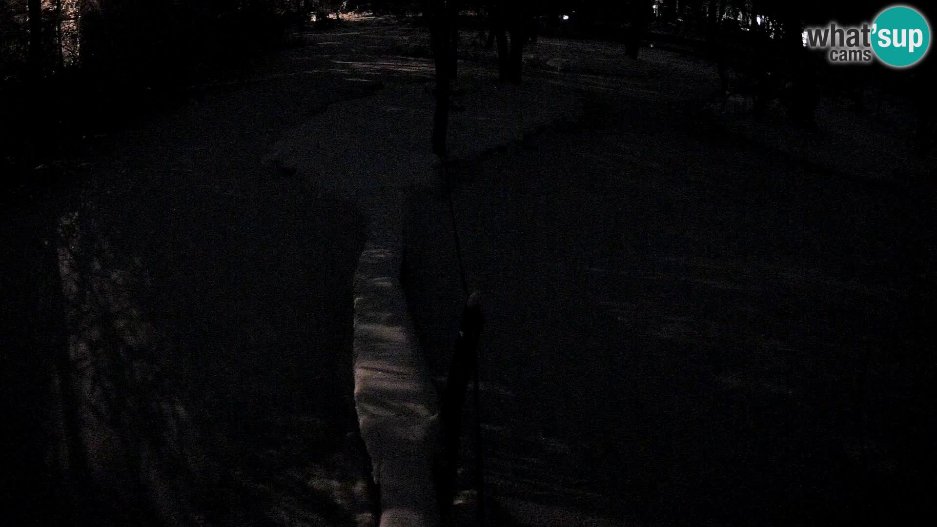 Navadni vari v živo – Ljubljana živalski vrt