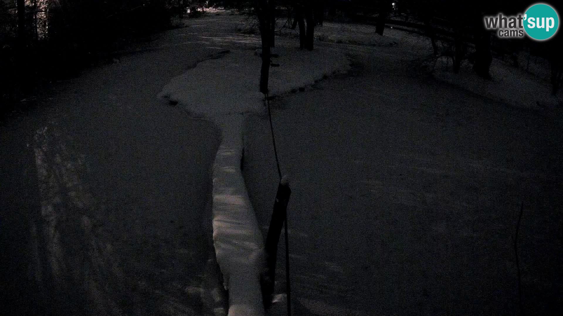 Schwarzweiße Vari Zoo Ljubljana webcam