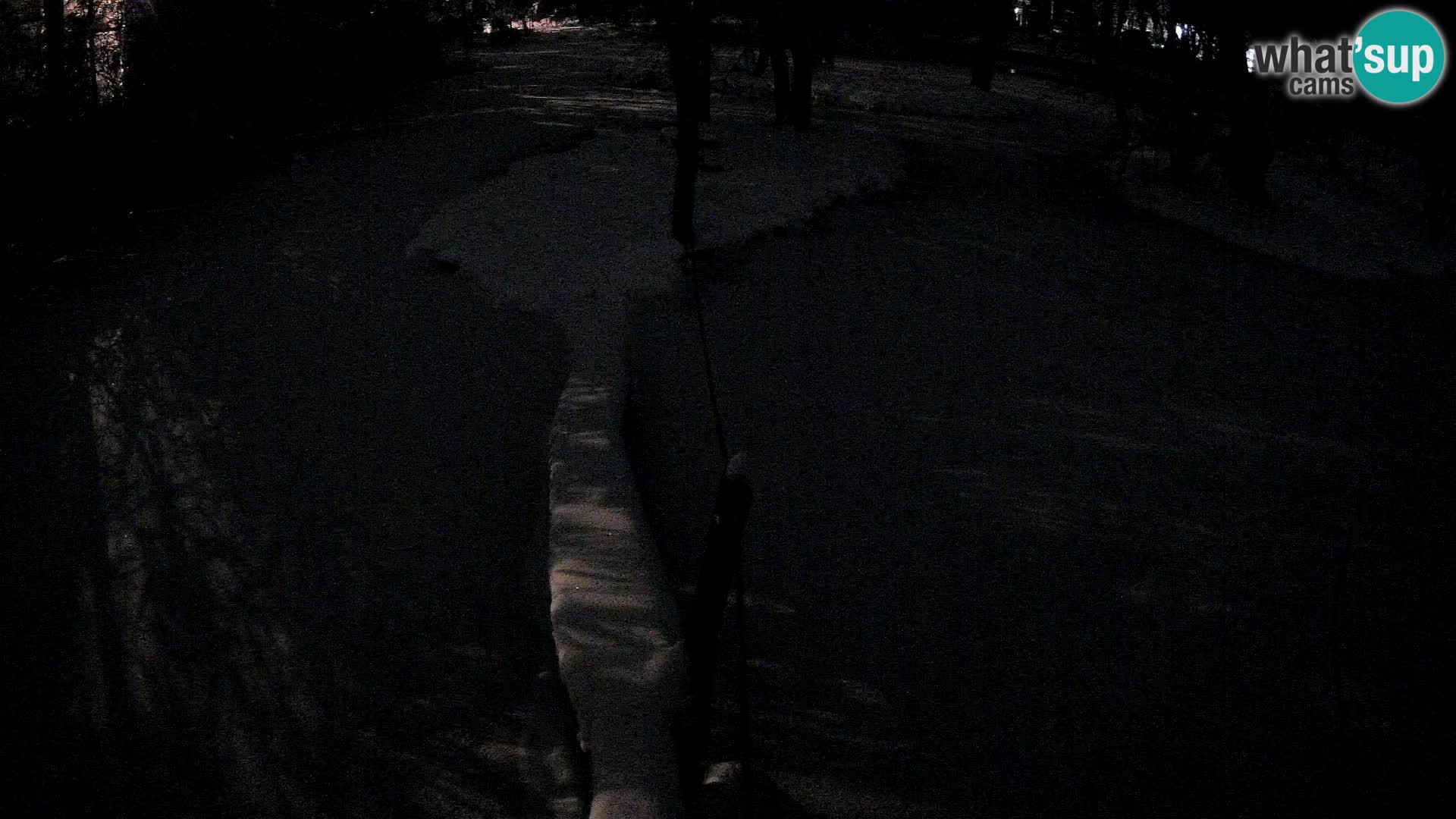 Vari noir et blanc – Ljubljana ZOO  livecam