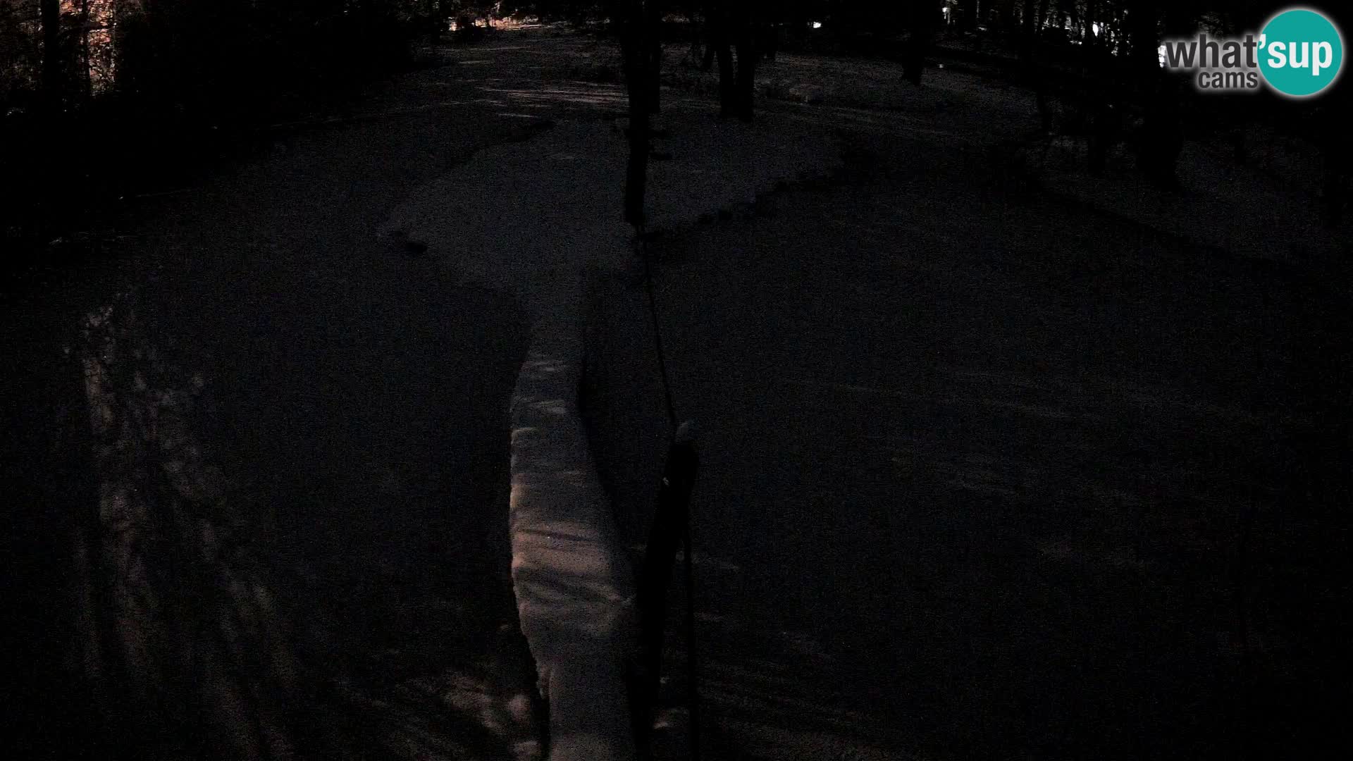 Schwarzweiße Vari Zoo Ljubljana webcam