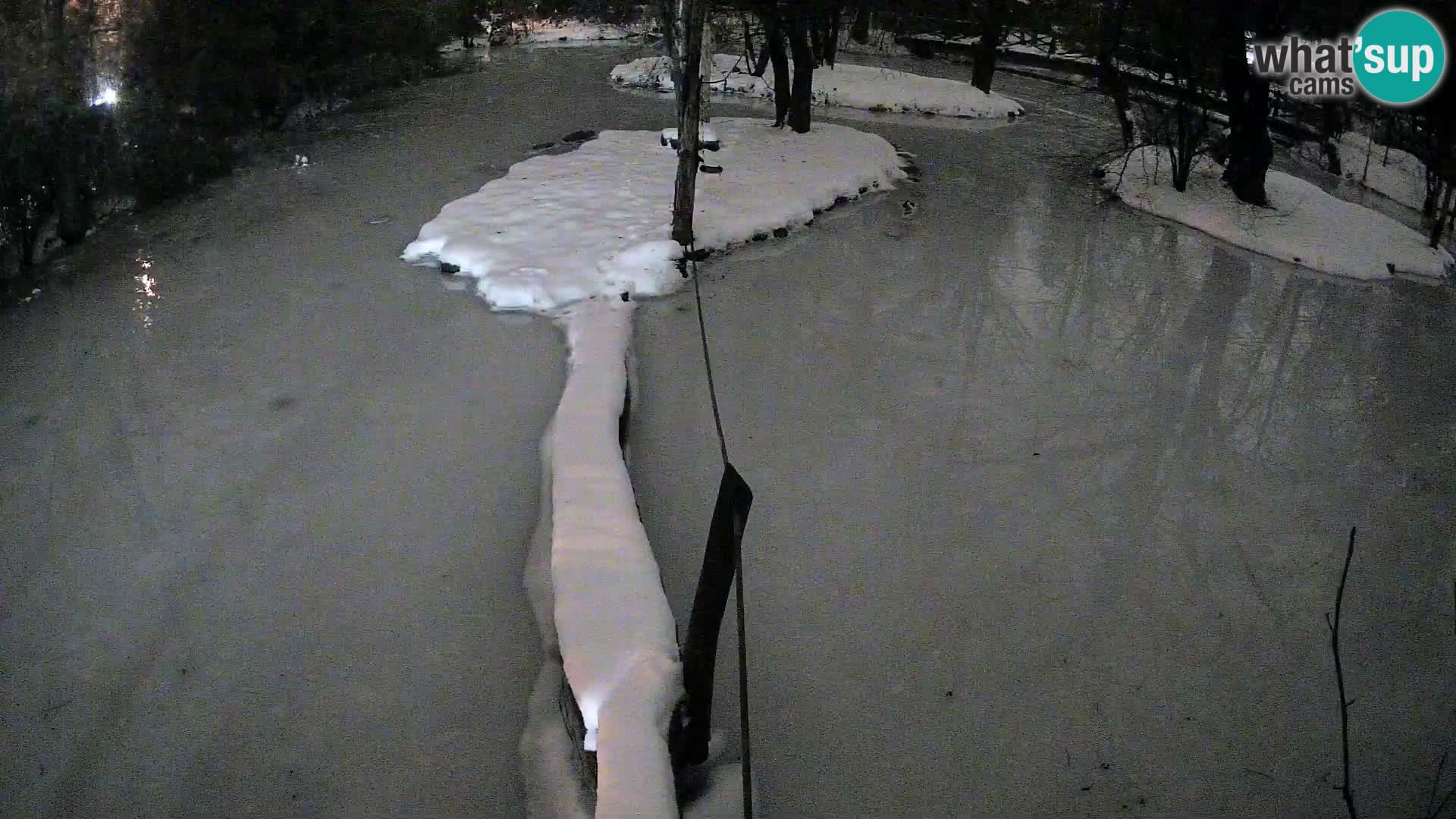 Navadni vari v živo – Ljubljana živalski vrt