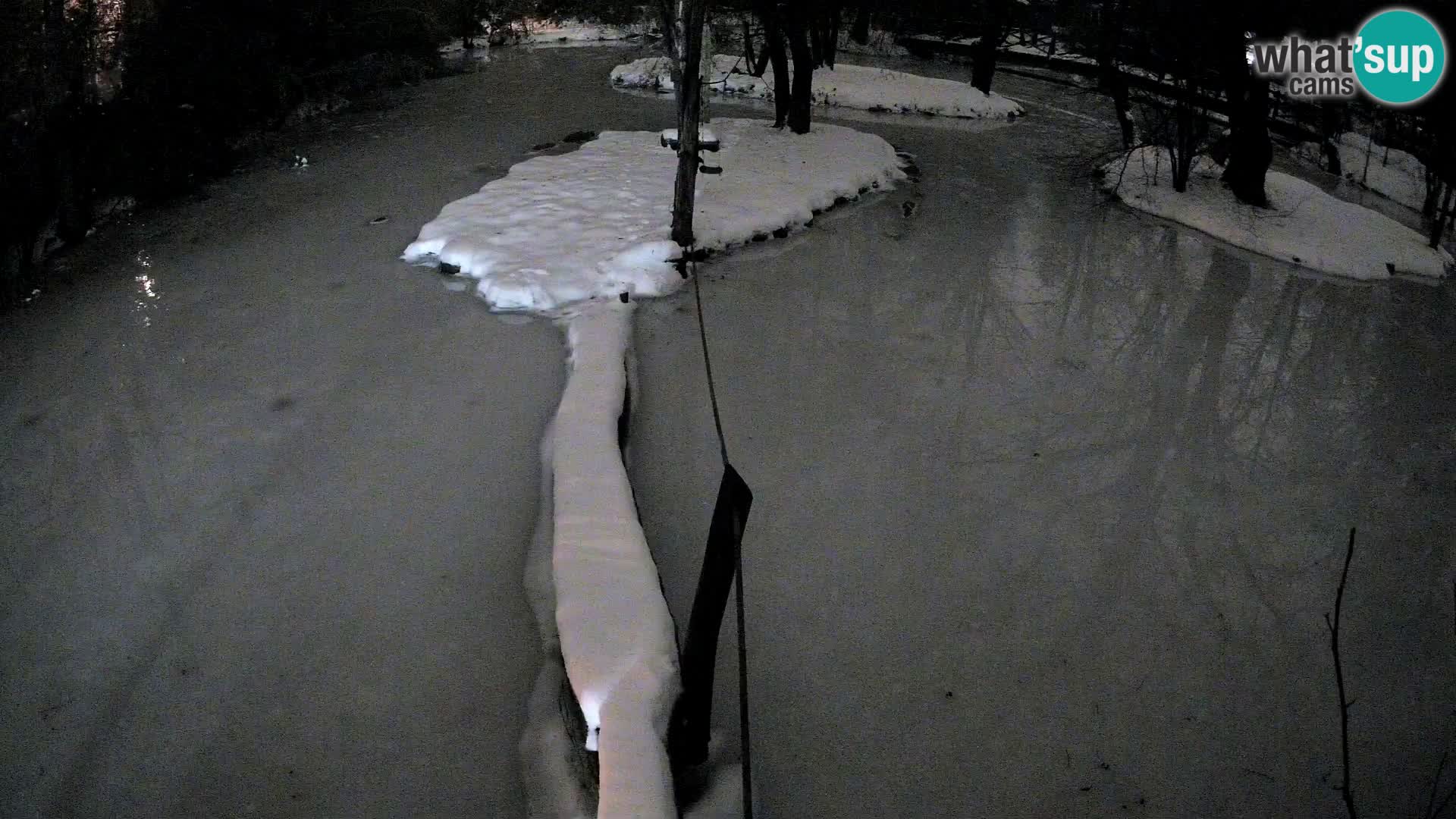 Navadni vari v živo – Ljubljana živalski vrt