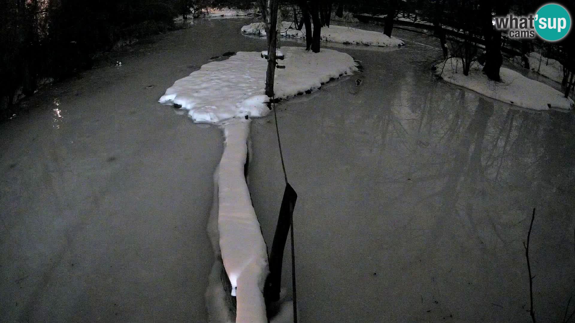 Schwarzweiße Vari Zoo Ljubljana webcam