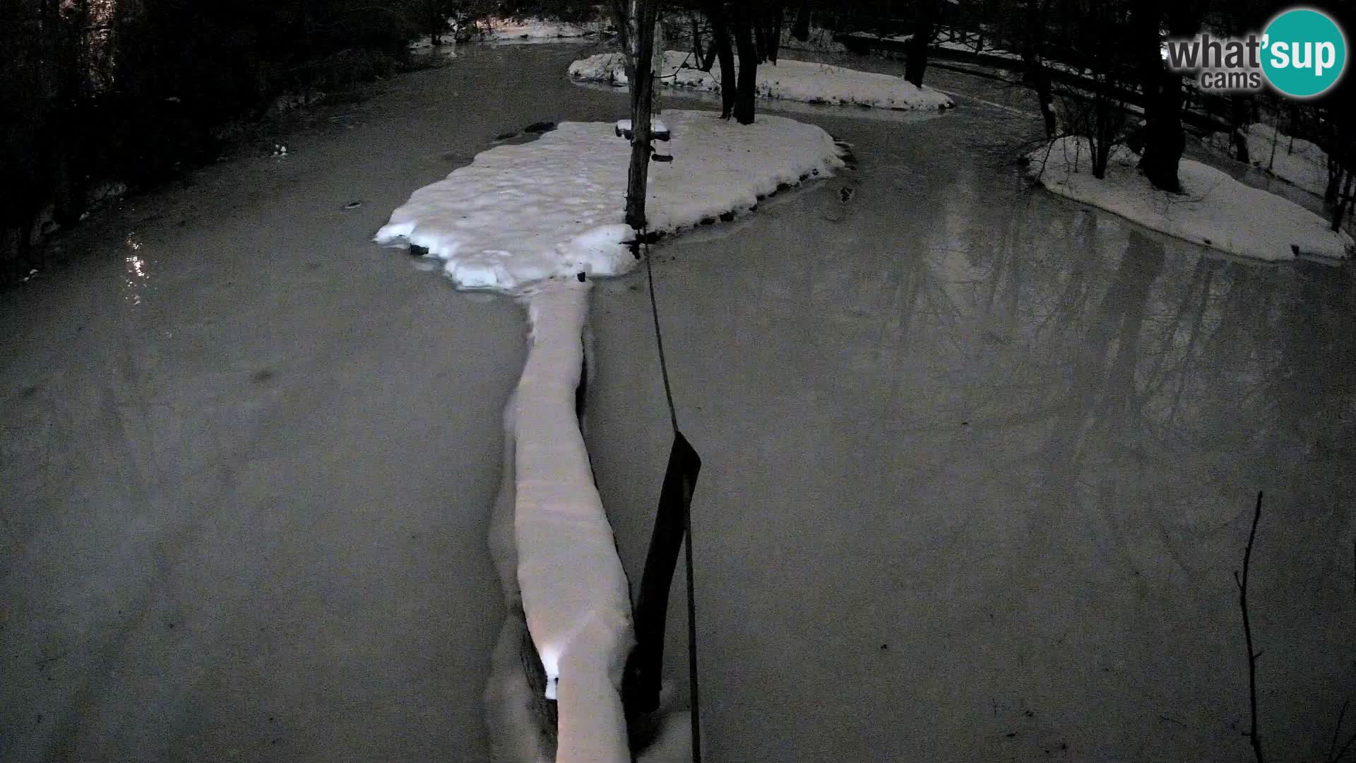 Vari bianconero Zoo Ljubljana webcam