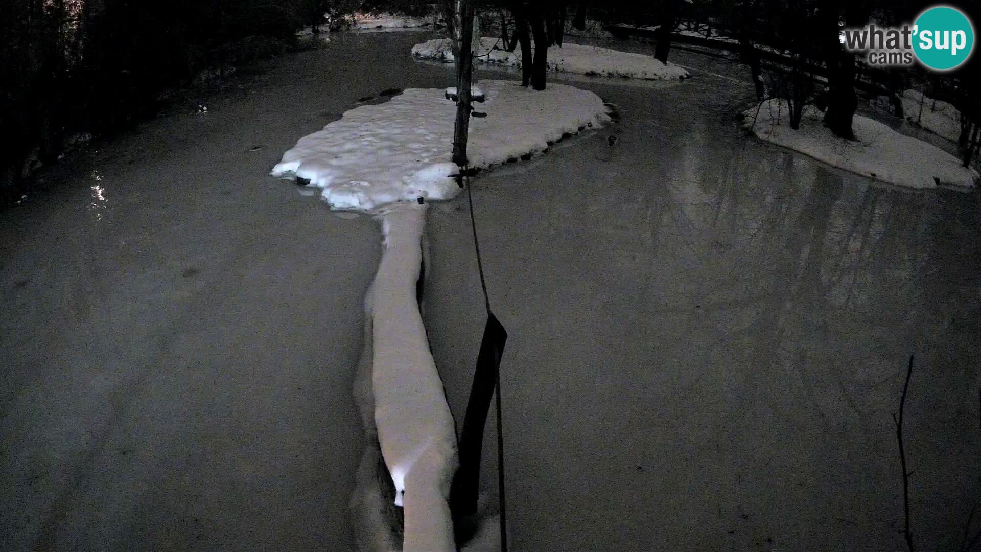 Schwarzweiße Vari Zoo Ljubljana webcam