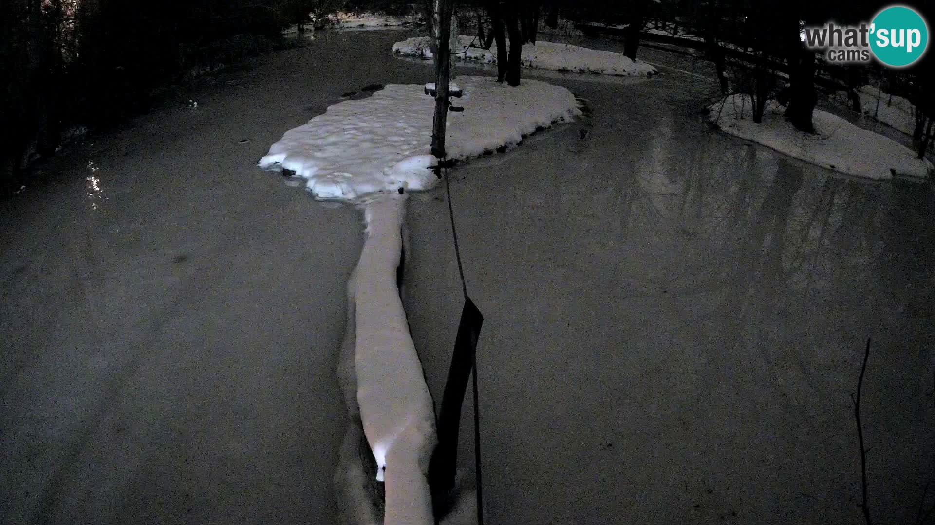 Schwarzweiße Vari Zoo Ljubljana webcam