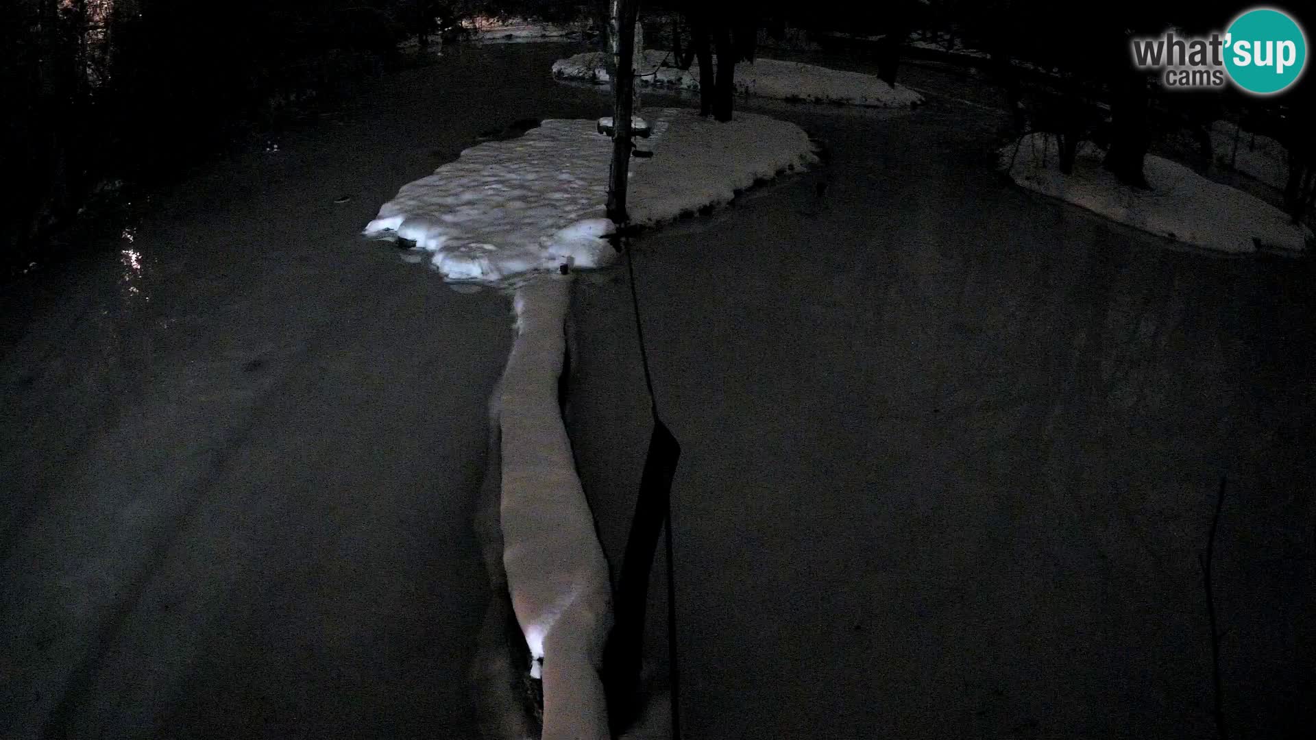 Navadni vari v živo – Ljubljana živalski vrt