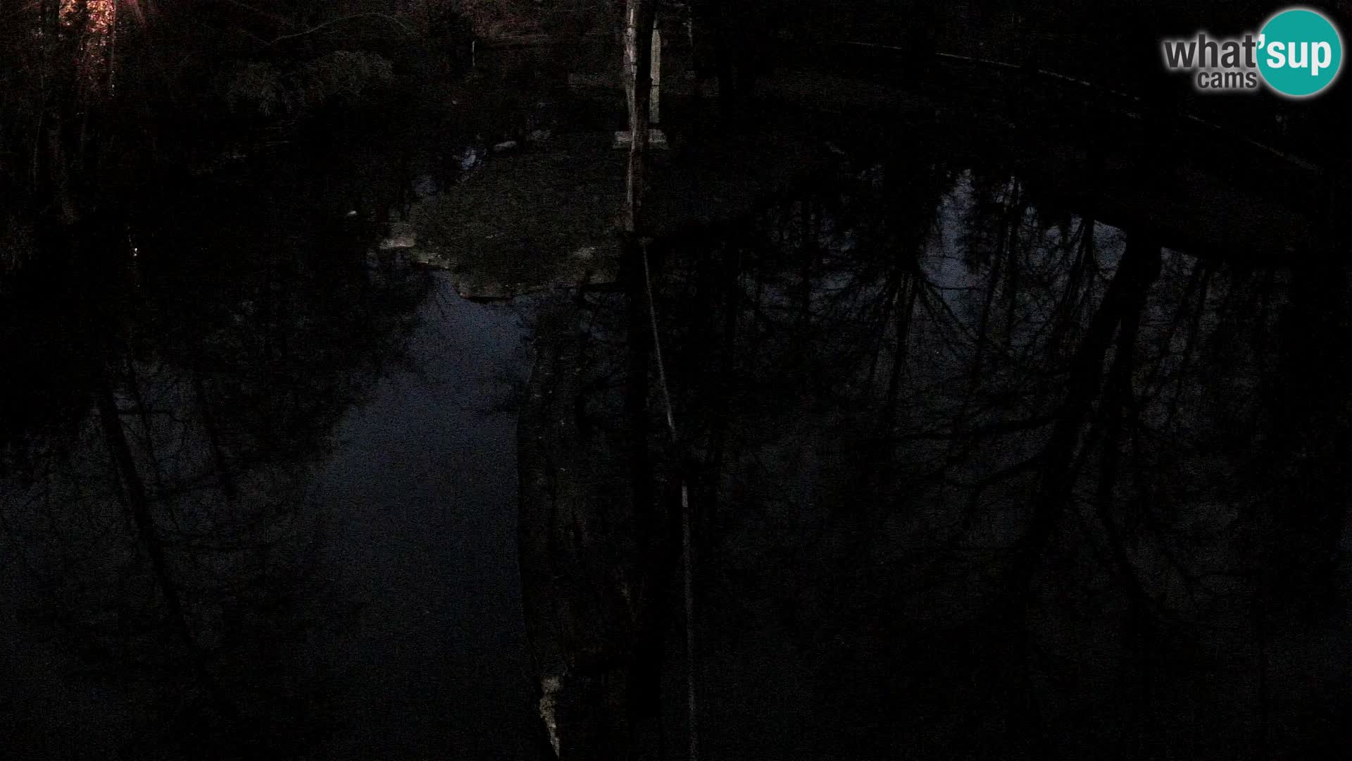 Vari noir et blanc – Ljubljana ZOO  livecam