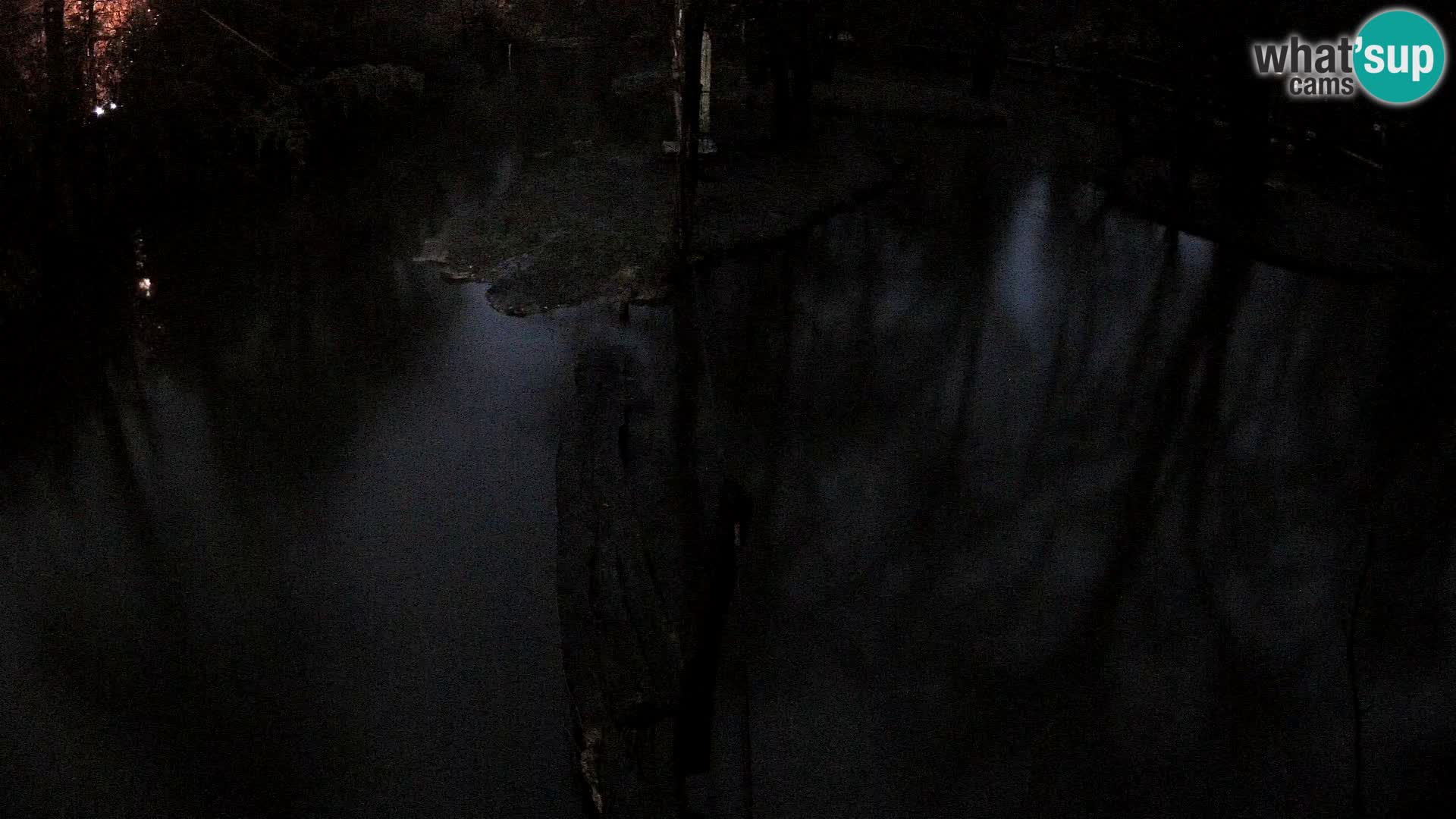 Vari noir et blanc – Ljubljana ZOO  livecam