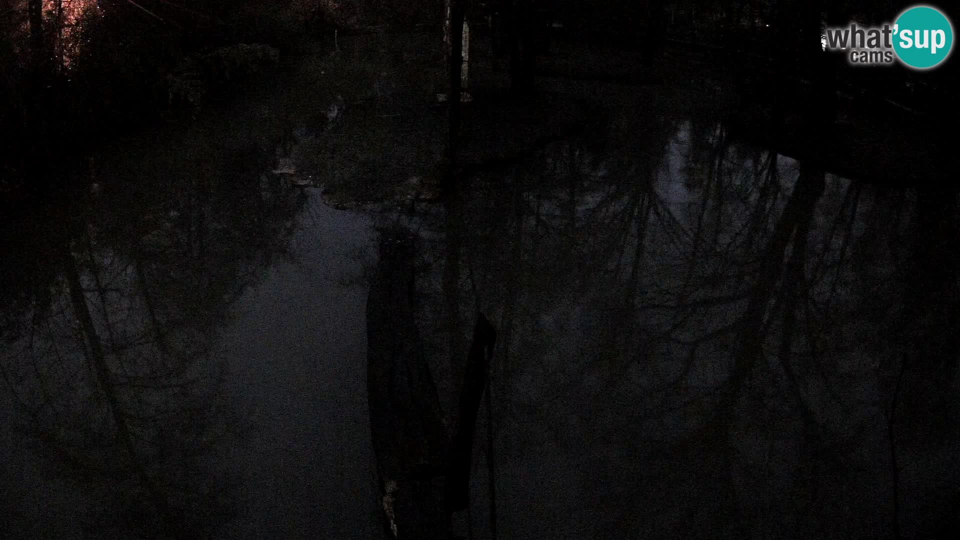 Schwarzweiße Vari Zoo Ljubljana webcam