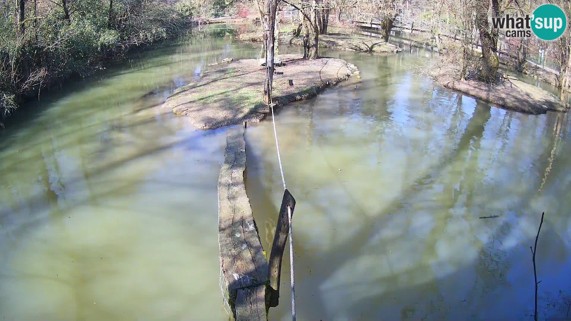 Navadni vari v živo – Ljubljana živalski vrt