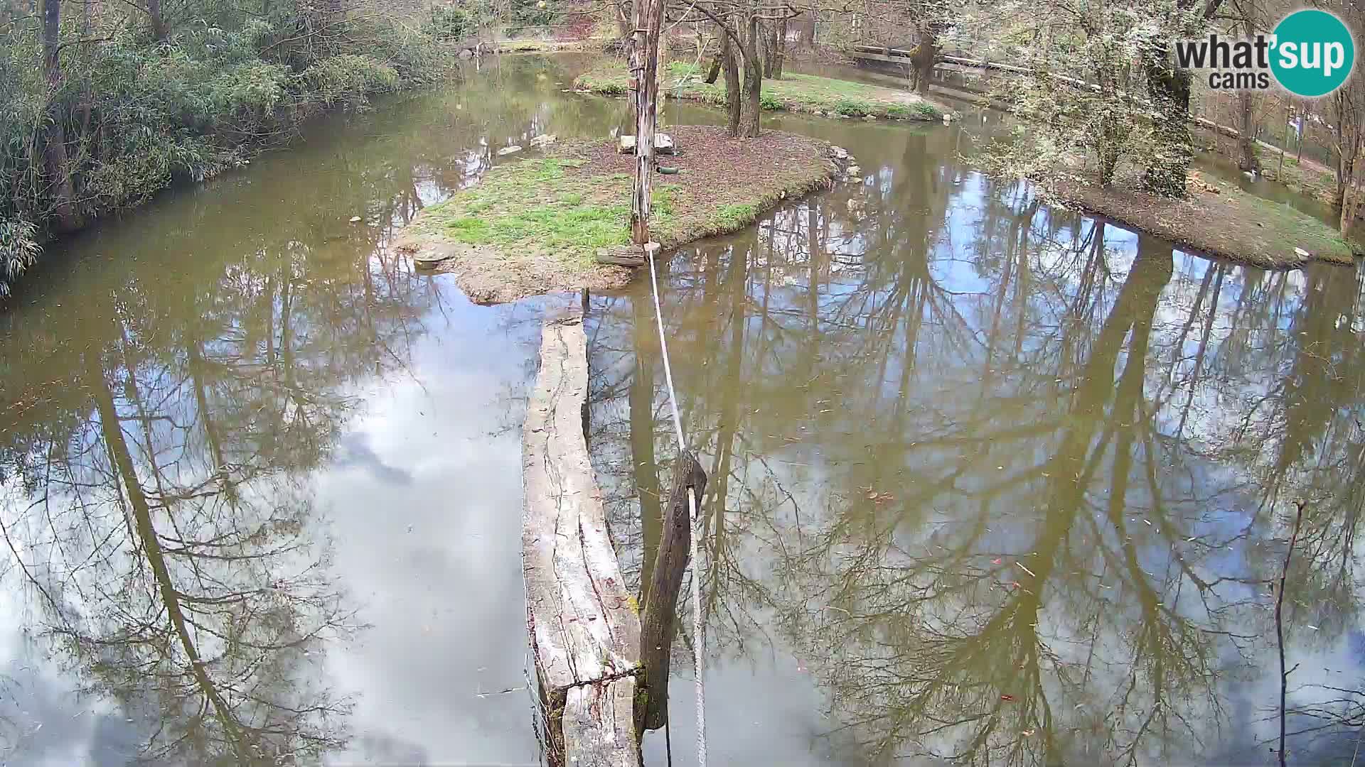 Navadni vari v živo – Ljubljana živalski vrt