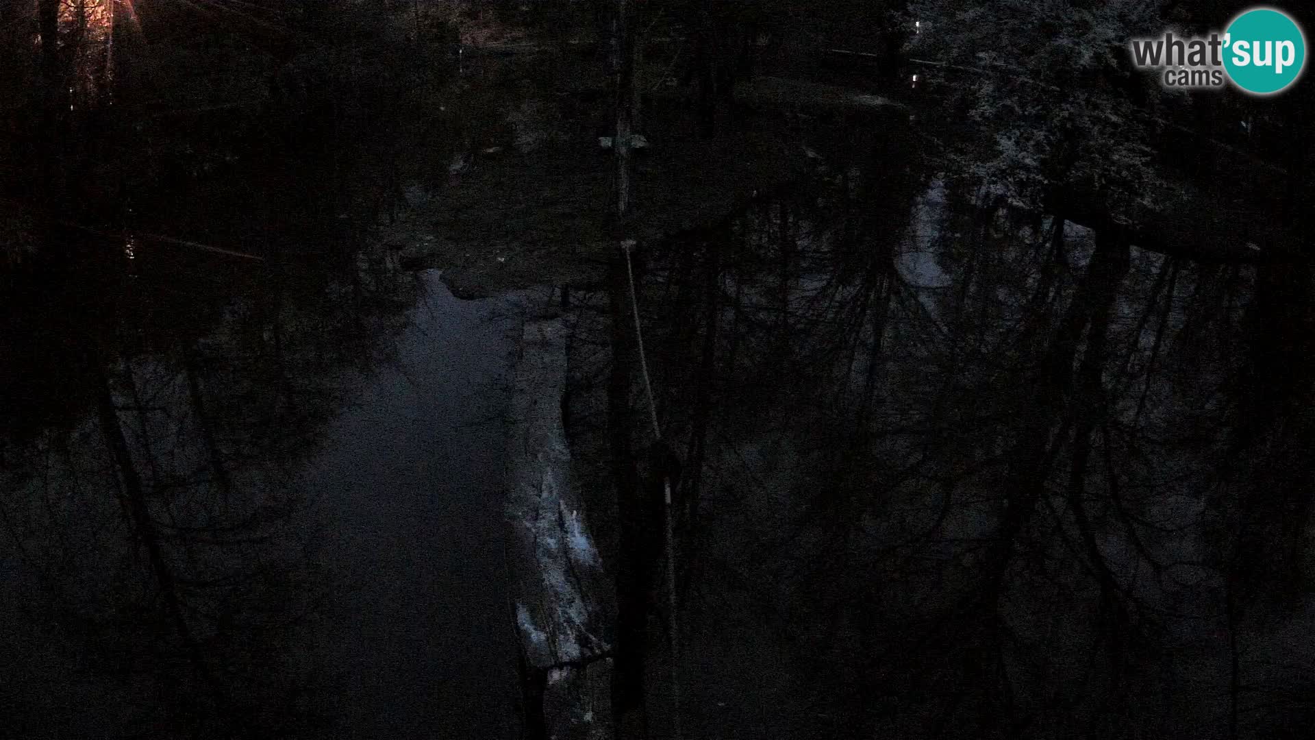 Lémur rufo blanco y negro – Ljubljana Zoo en vivo