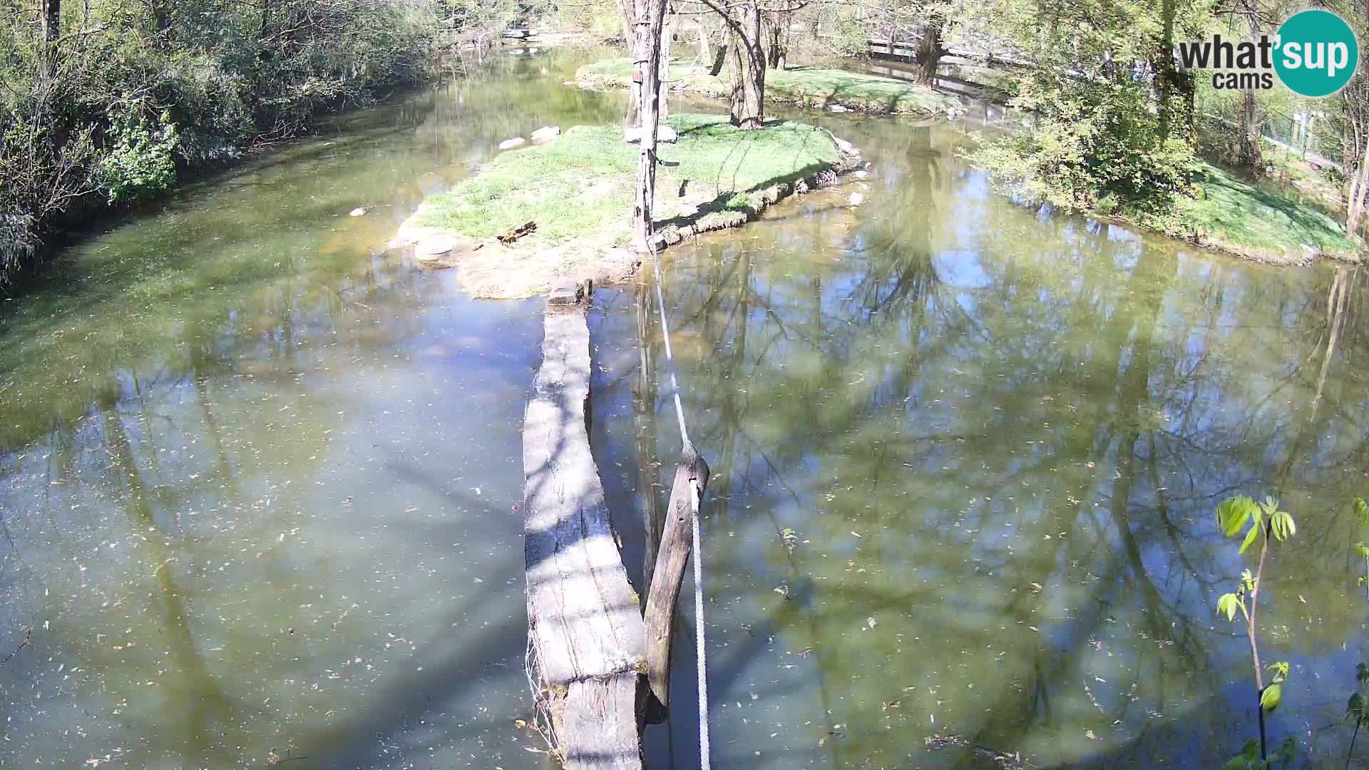 Navadni vari v živo – Ljubljana živalski vrt