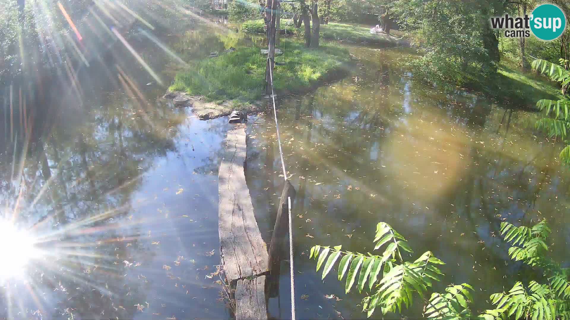 Navadni vari u živo – Ljubljana zoo