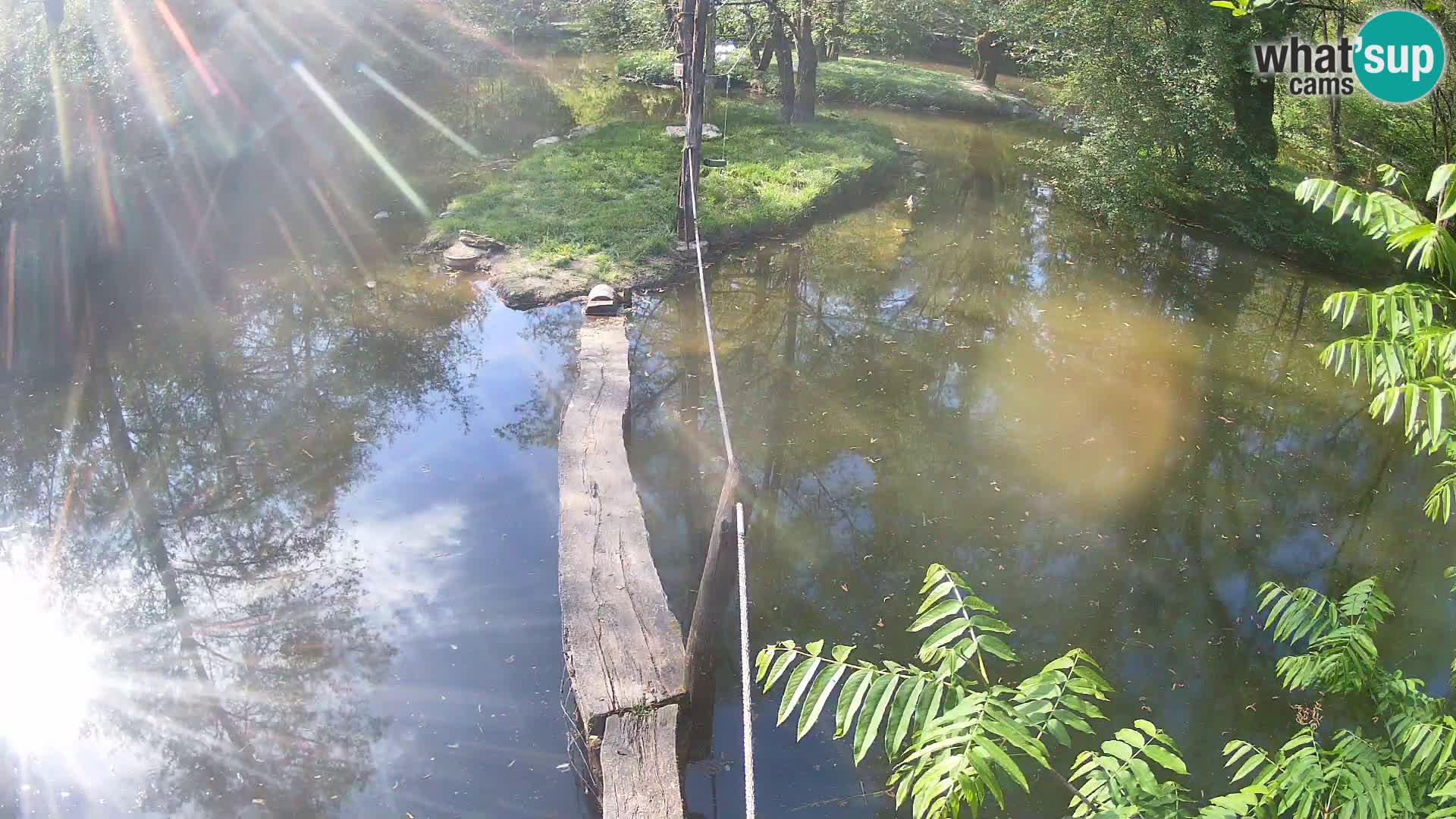 Navadni vari u živo – Ljubljana zoo