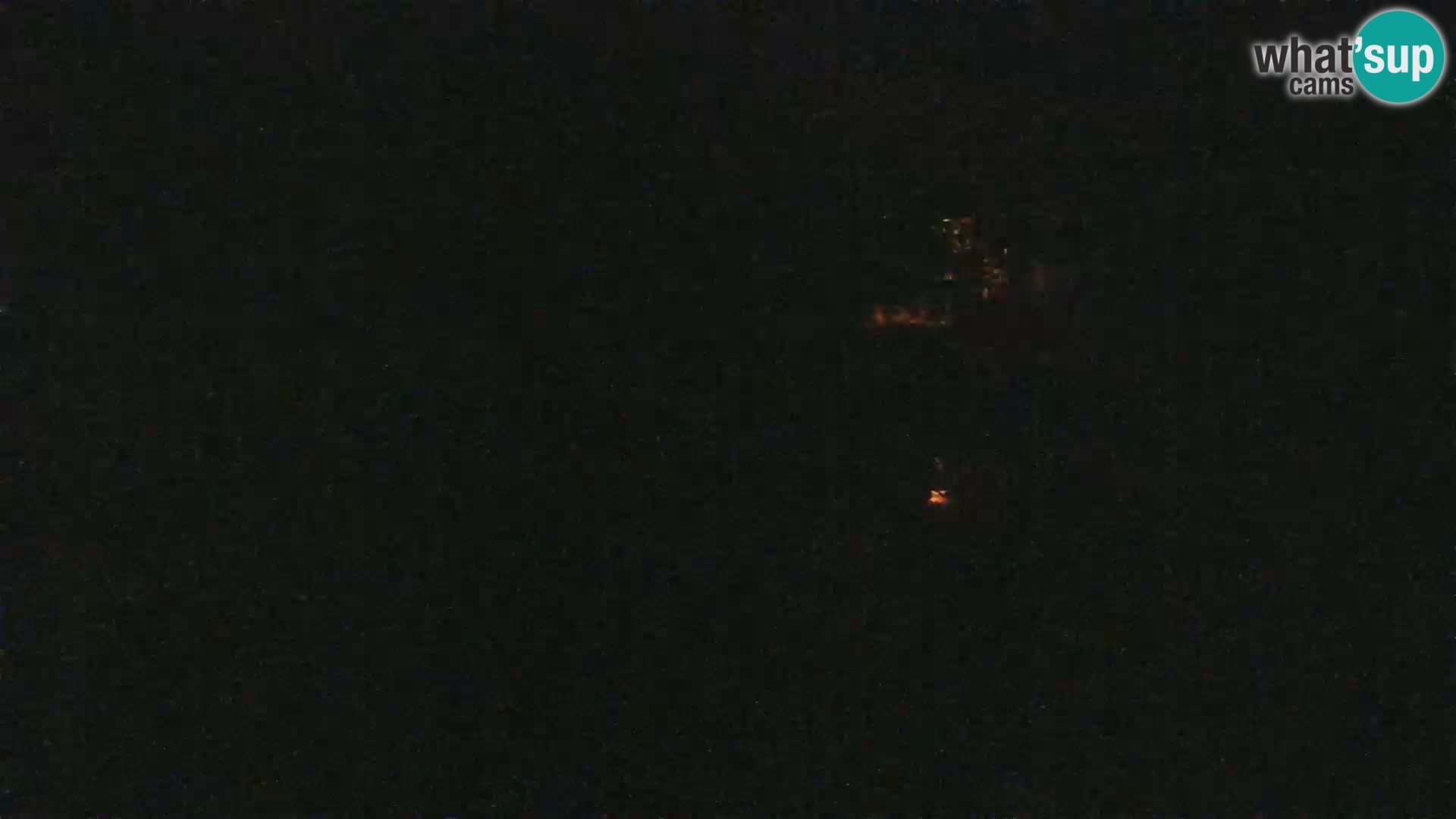 Saïmiri live webcam ZOO Ljubljana